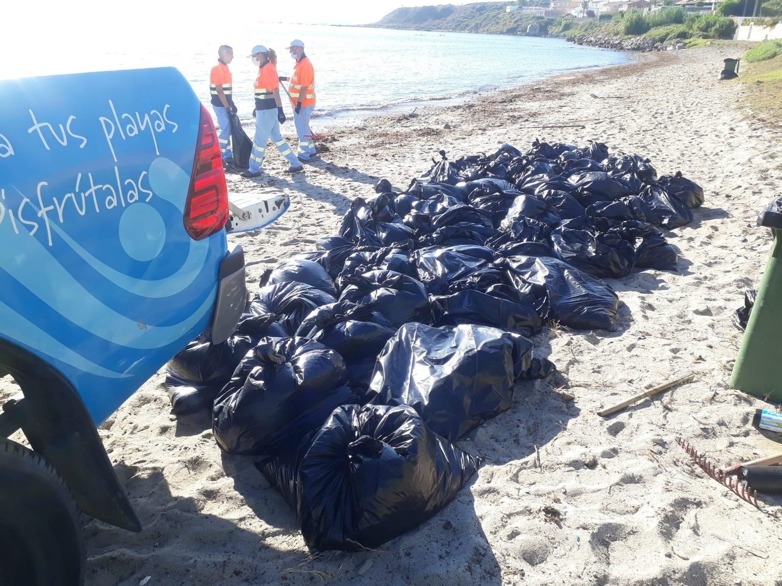 Las bolsas de basura recogidas en El Chinarral.