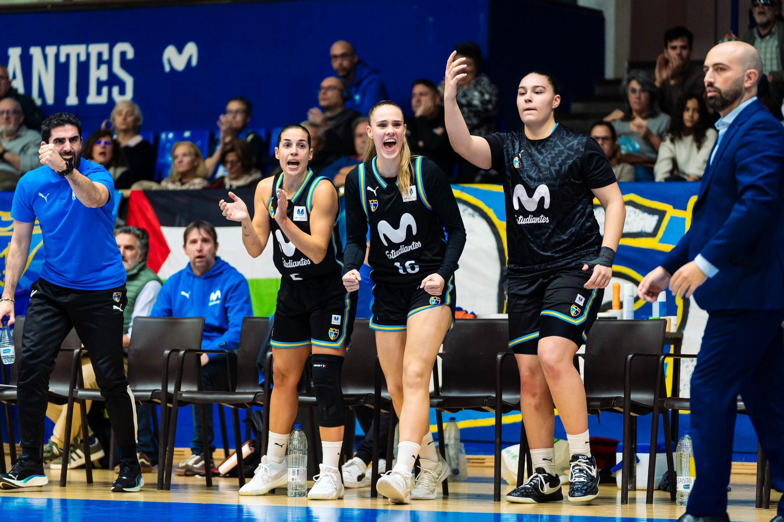 El CAB Estepona da vida al Movistar Estudiantes (85-60)