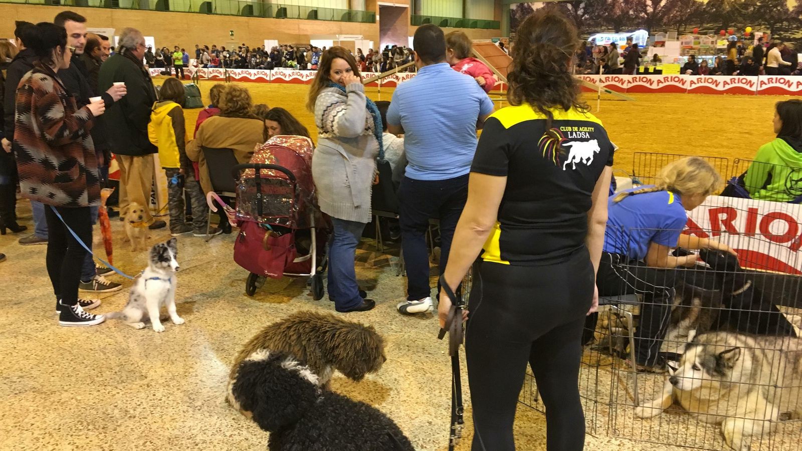 Surmascotas, en una edición pasada.