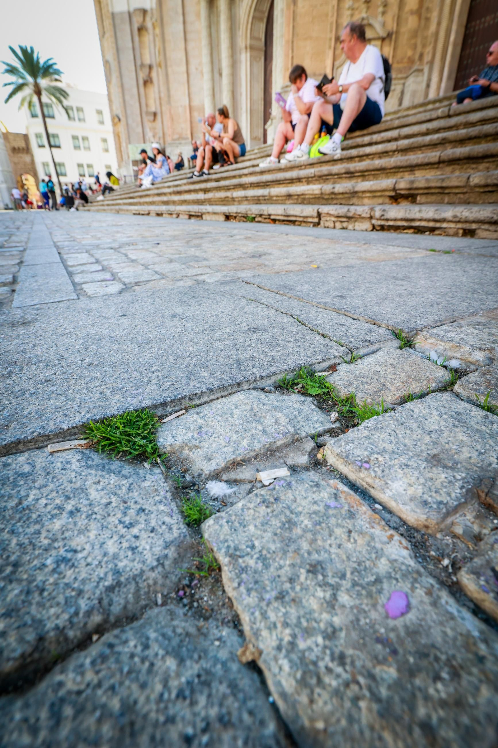 Así están las principales plazas de la ciudad de Cádiz