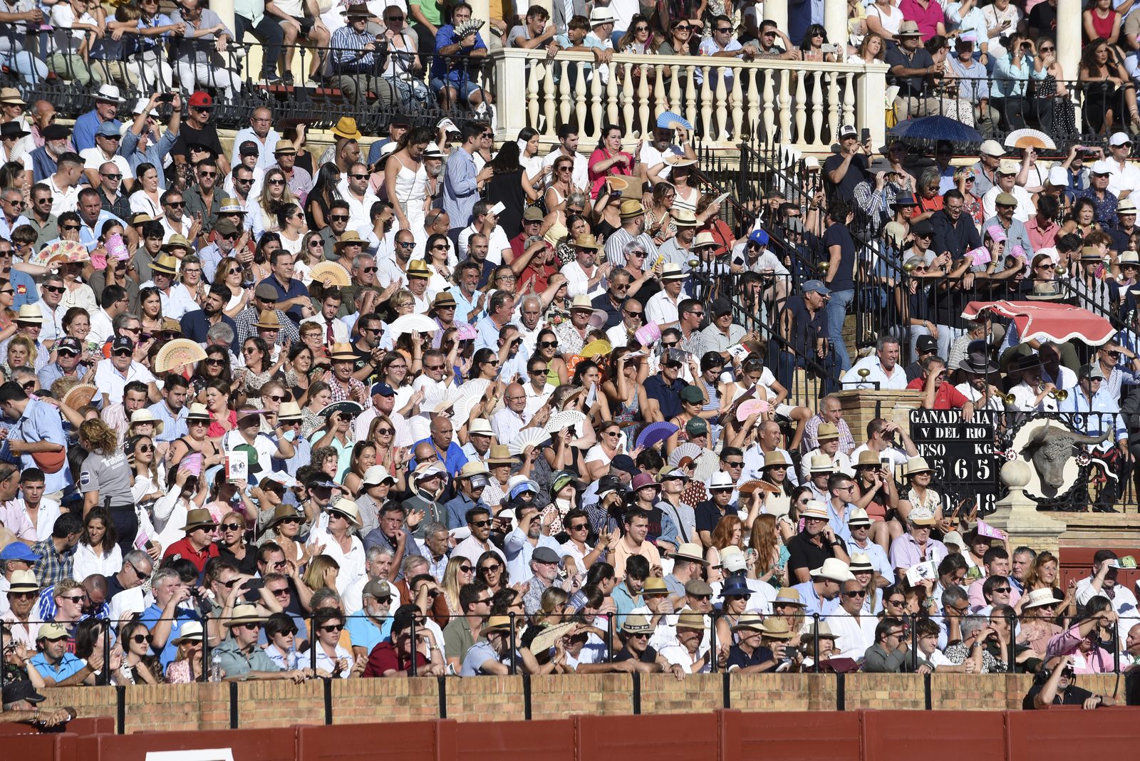 Búscate en la segunda corrida de San Miguel