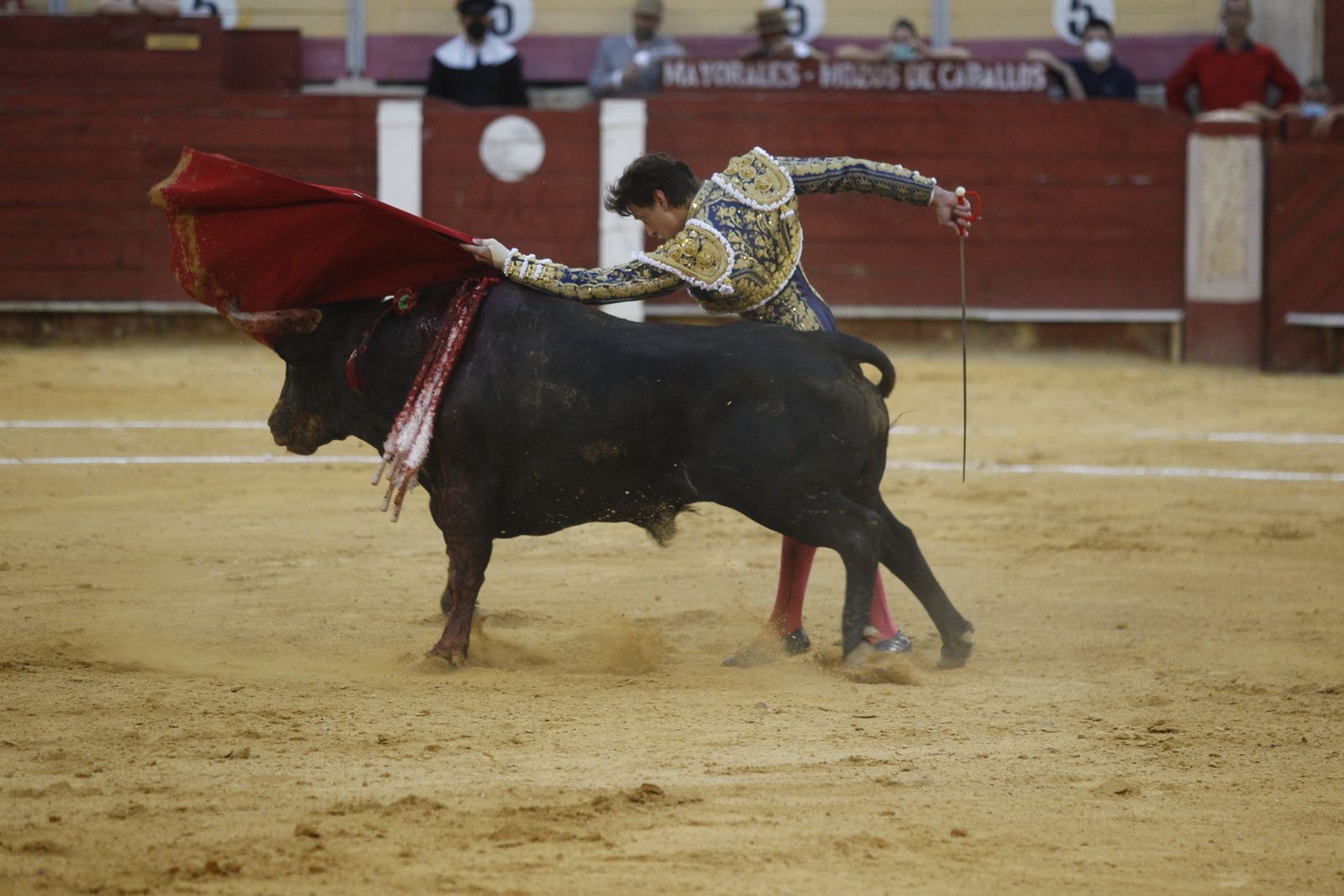 Fotogalería segunda corrida de toros Feria de Almeria 2021
