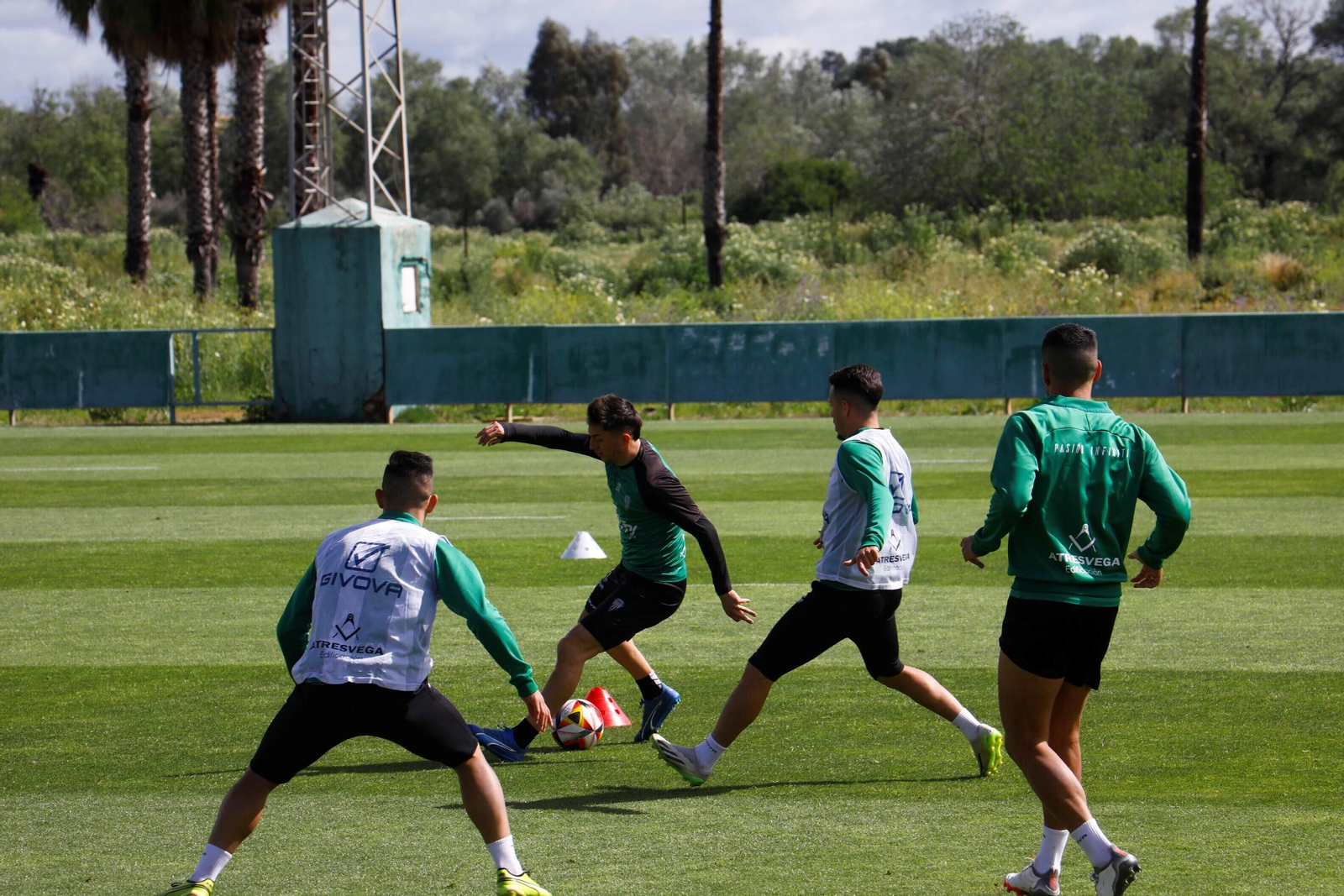 Las mejores fotos de un entrenamiento del Córdoba CF con notable presencia de su afición