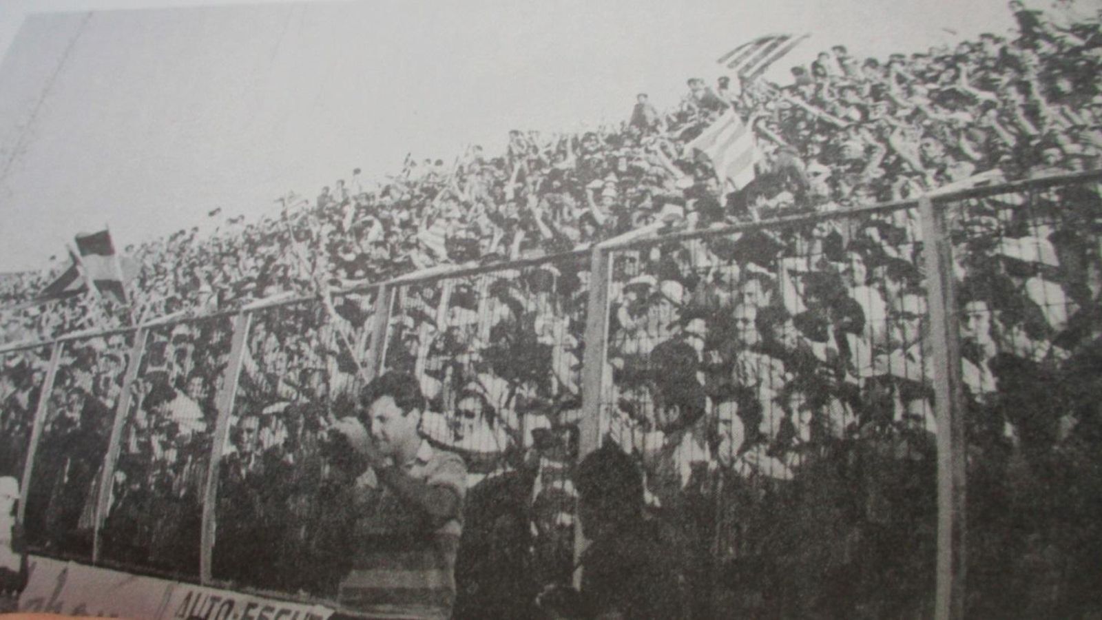 Las gradas del Franco Navarro disfrutaron de la victoria de su equipo.