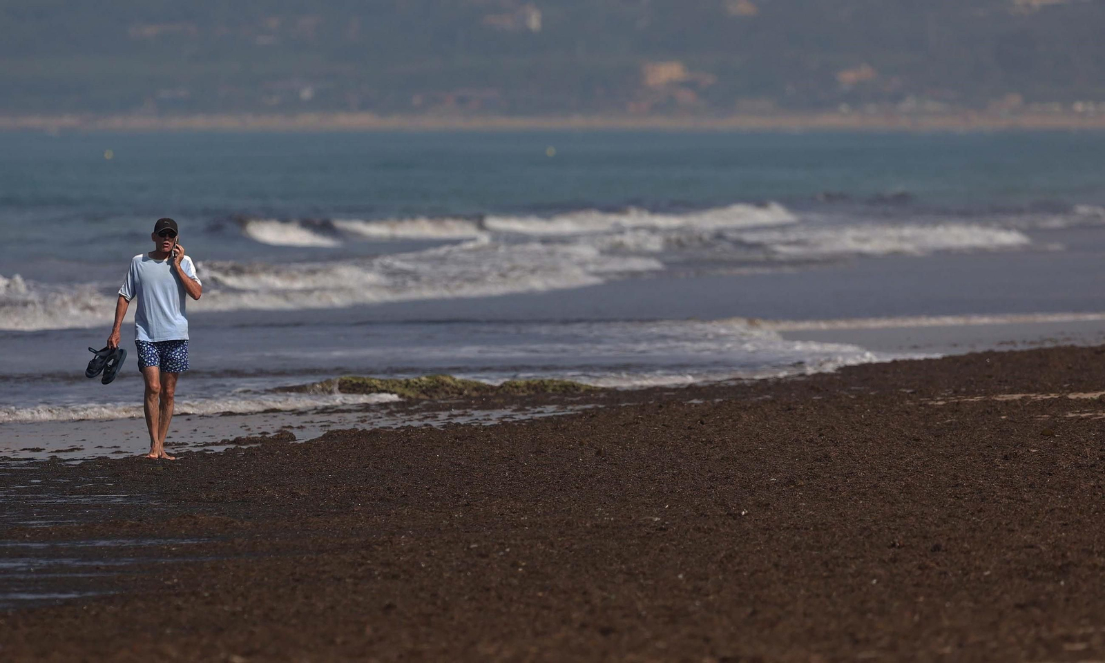 Una persona camina por Los Lances, en Tarifa, cubierta por el alga invasora, el pasado verano.