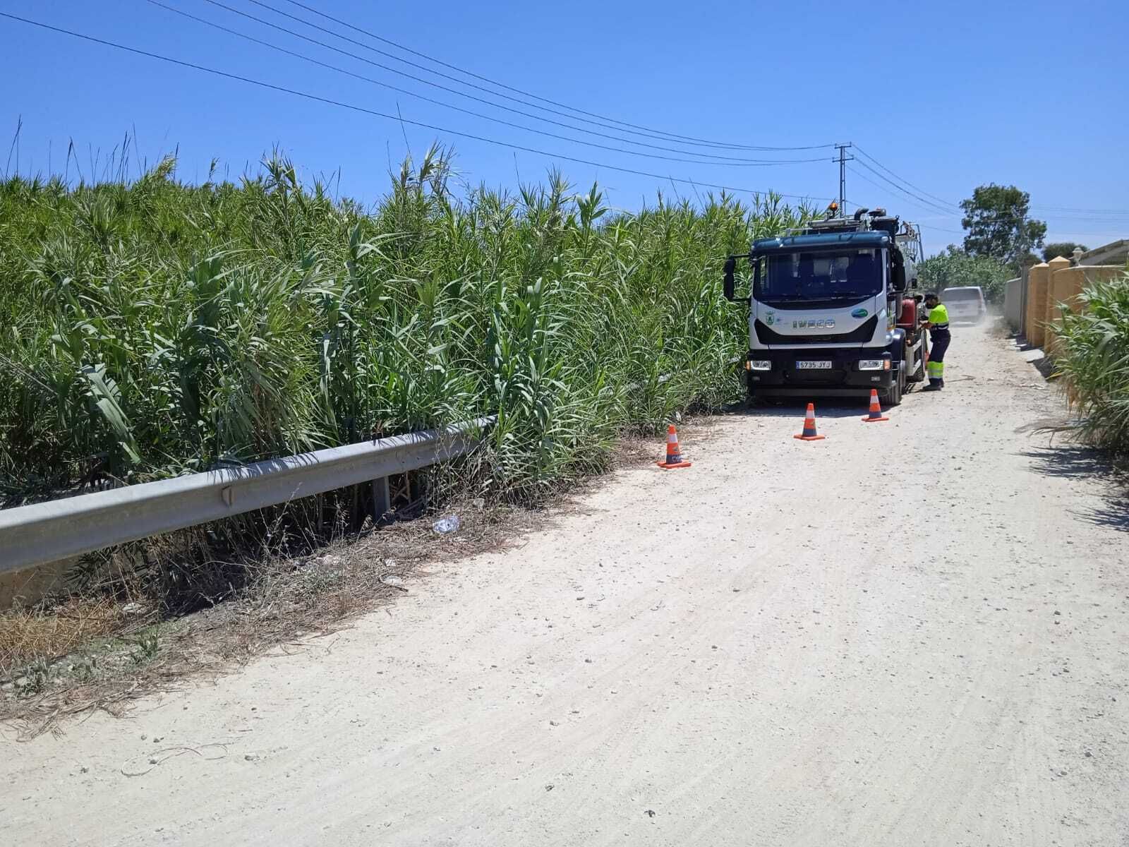 Trabajos que se están llevando a cabo por parte de Chiclana Natural en la zona.
