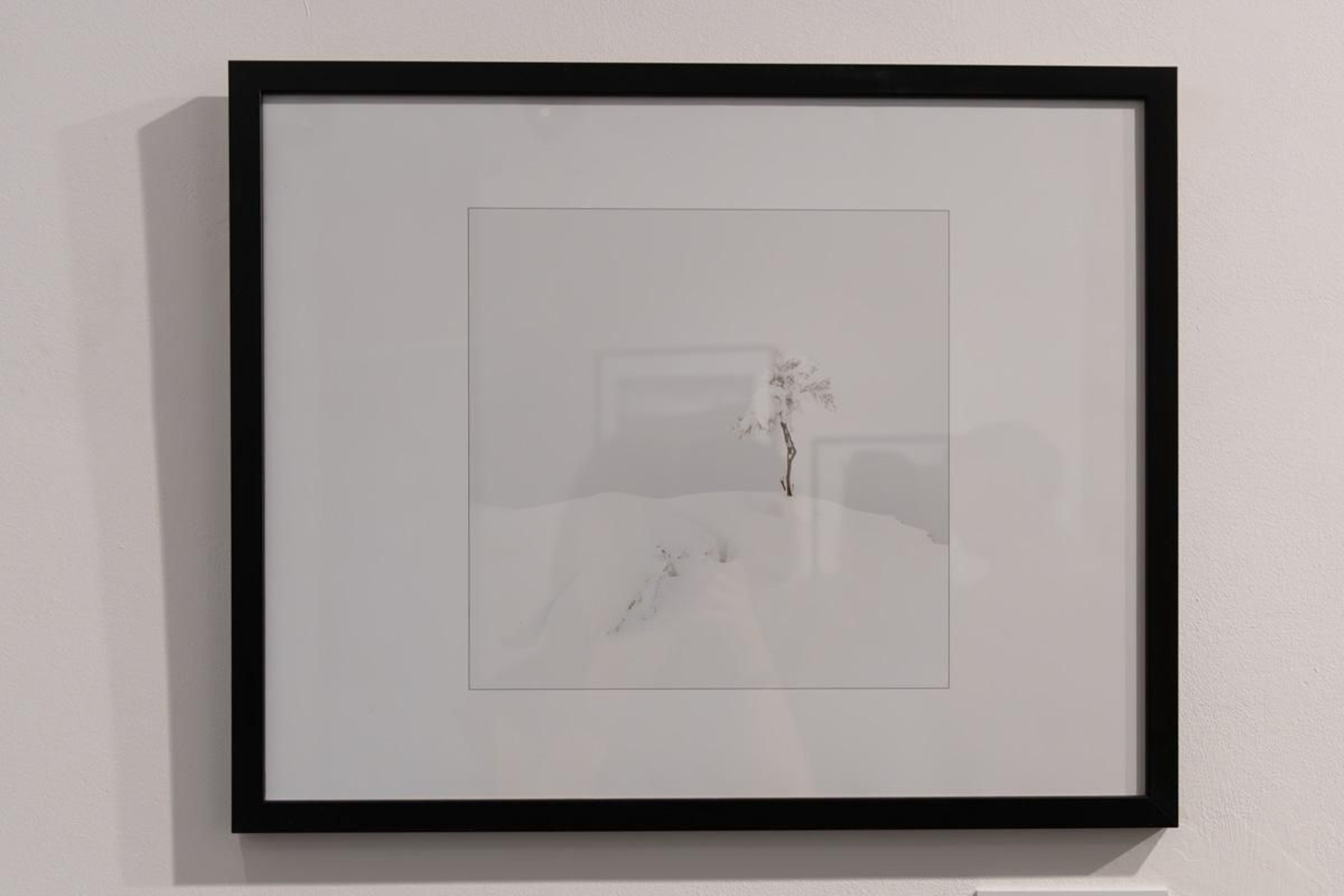 Exposición La Tierra, corazón de la vida, en imágenes