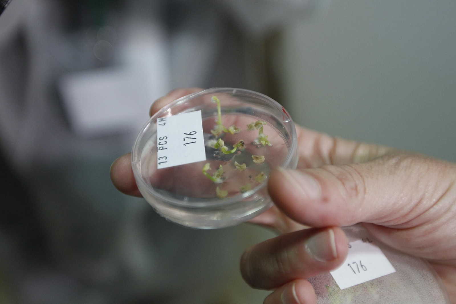 Fotogalería presentación resultados Bayer