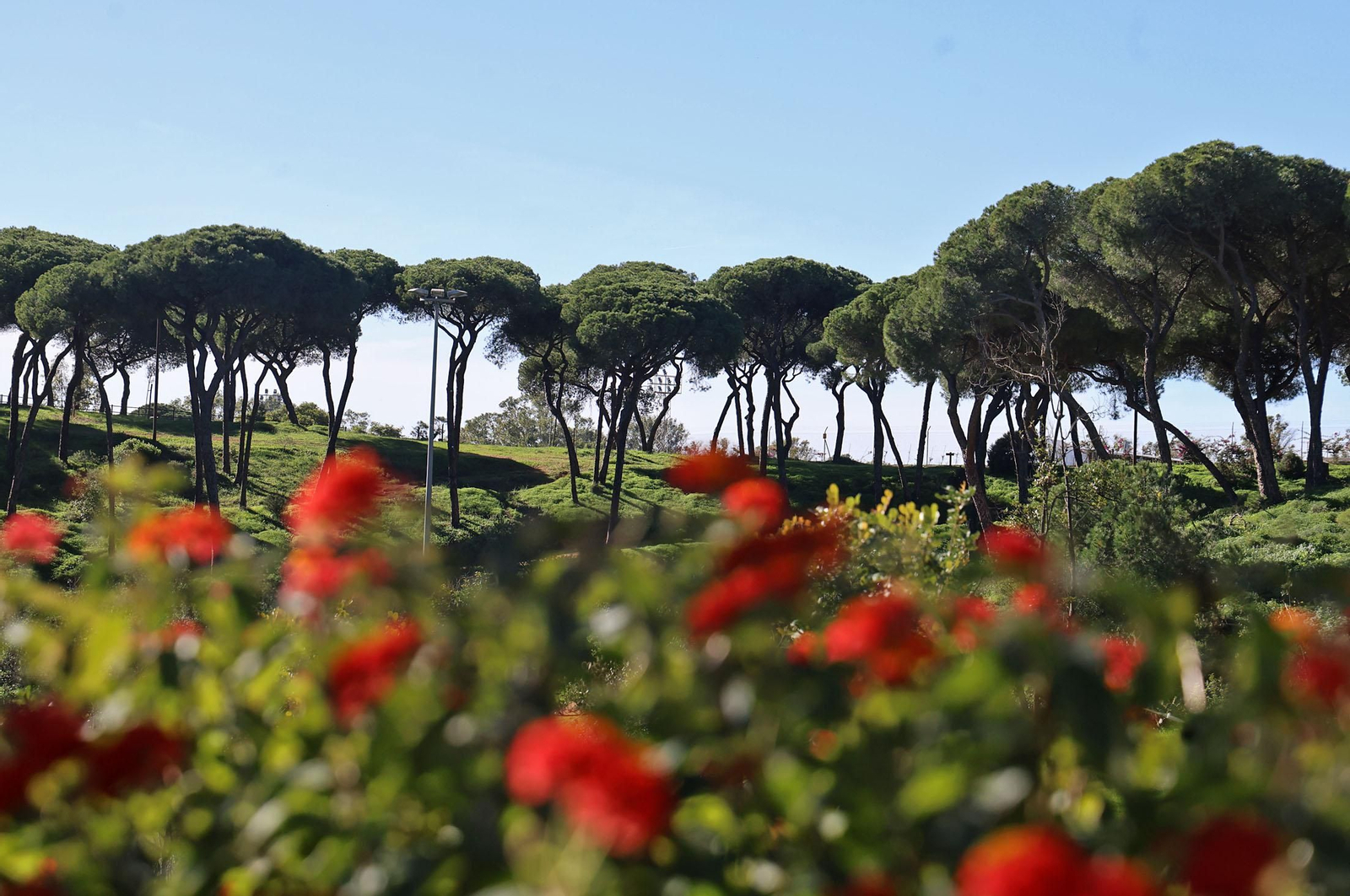 Imágenes del domingo 8 de diciembre en Huelva