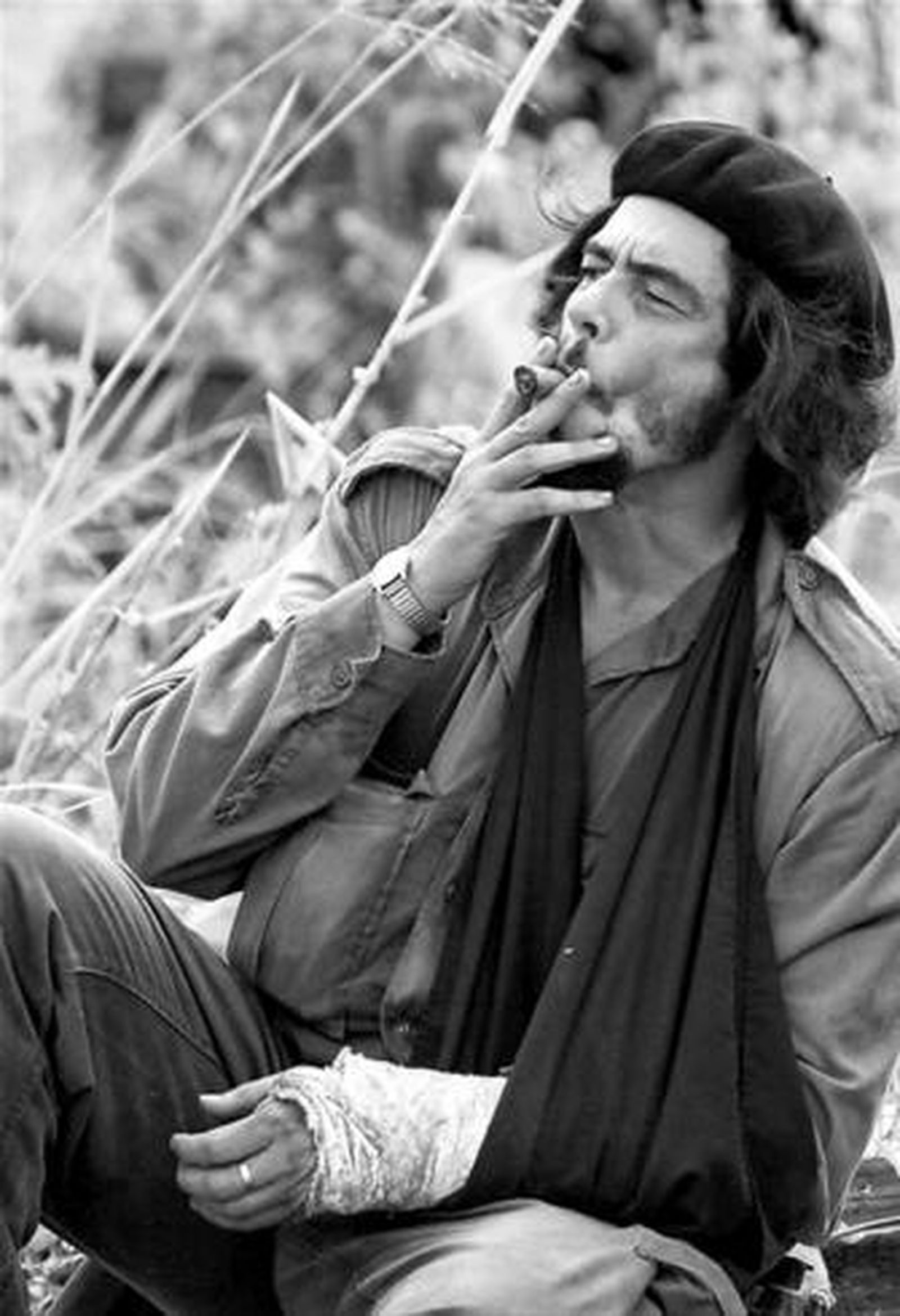 Benicio del Toro ganó el premio en Cannes por su recreación del Che Guevara.