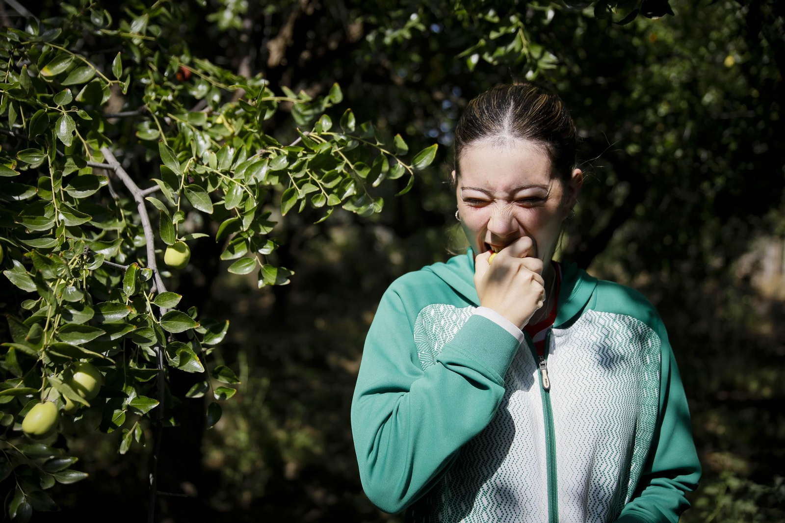 Imágenes del cultivo de azufaifas en Abrucena