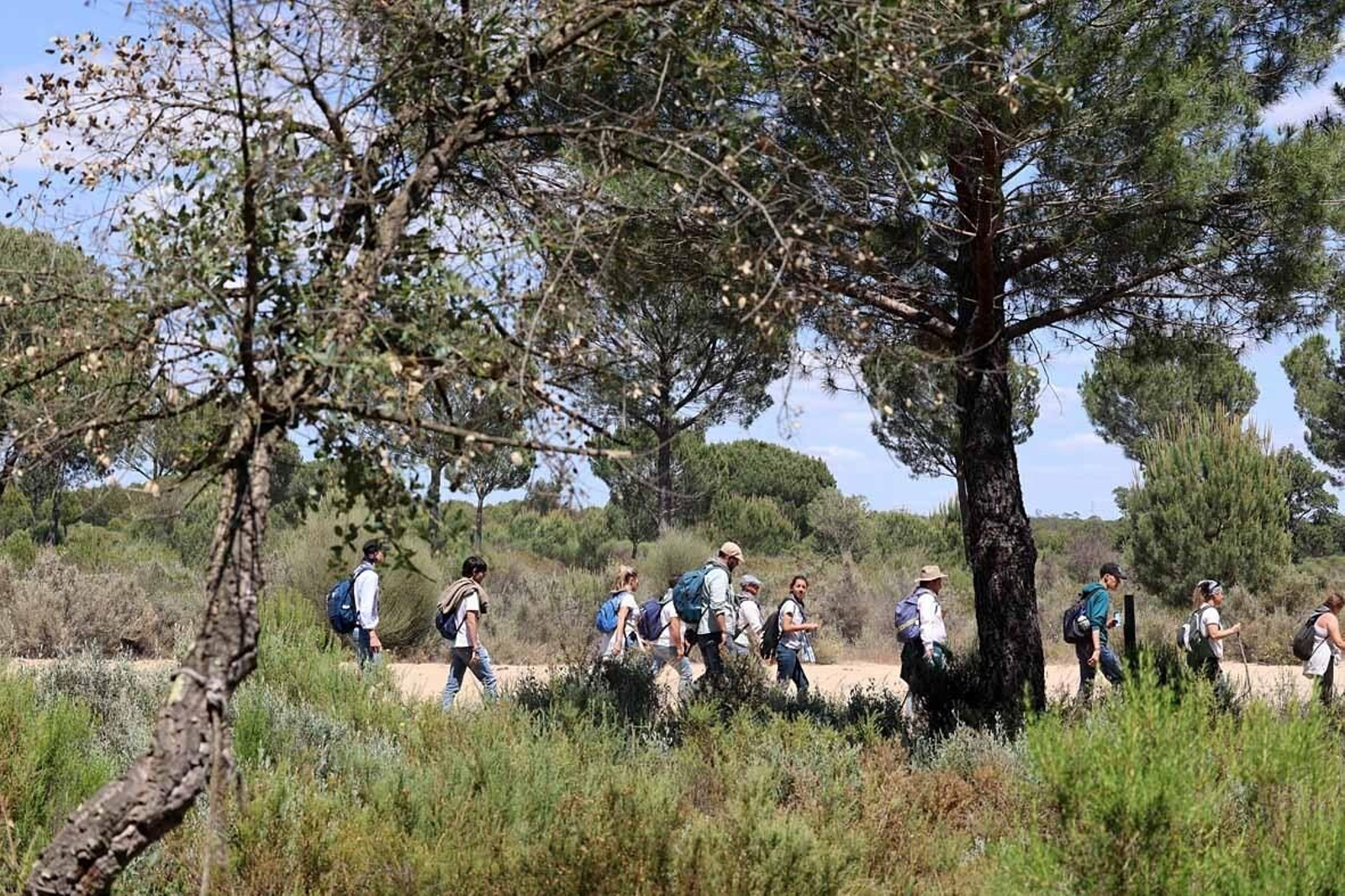 Las mejores imágenes de la Hermandad del Rocío de Huelva en el camino hacia El Rocío