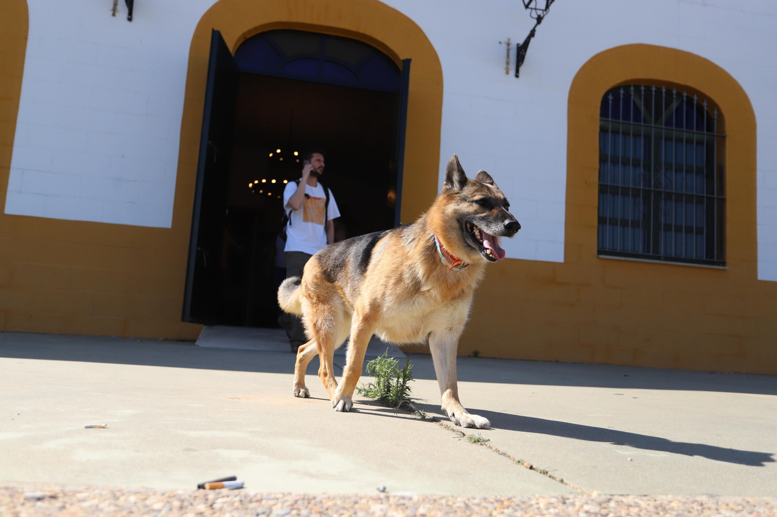 Imágenes de la búsqueda del joven desaparecido en Candón