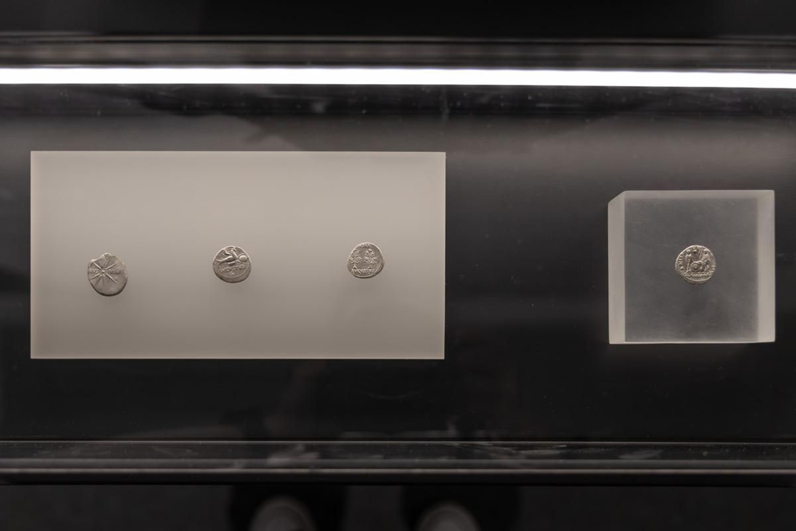 La exposición puede visitarse todos los días gratuitamente excepto los lunes por cierre del museo.