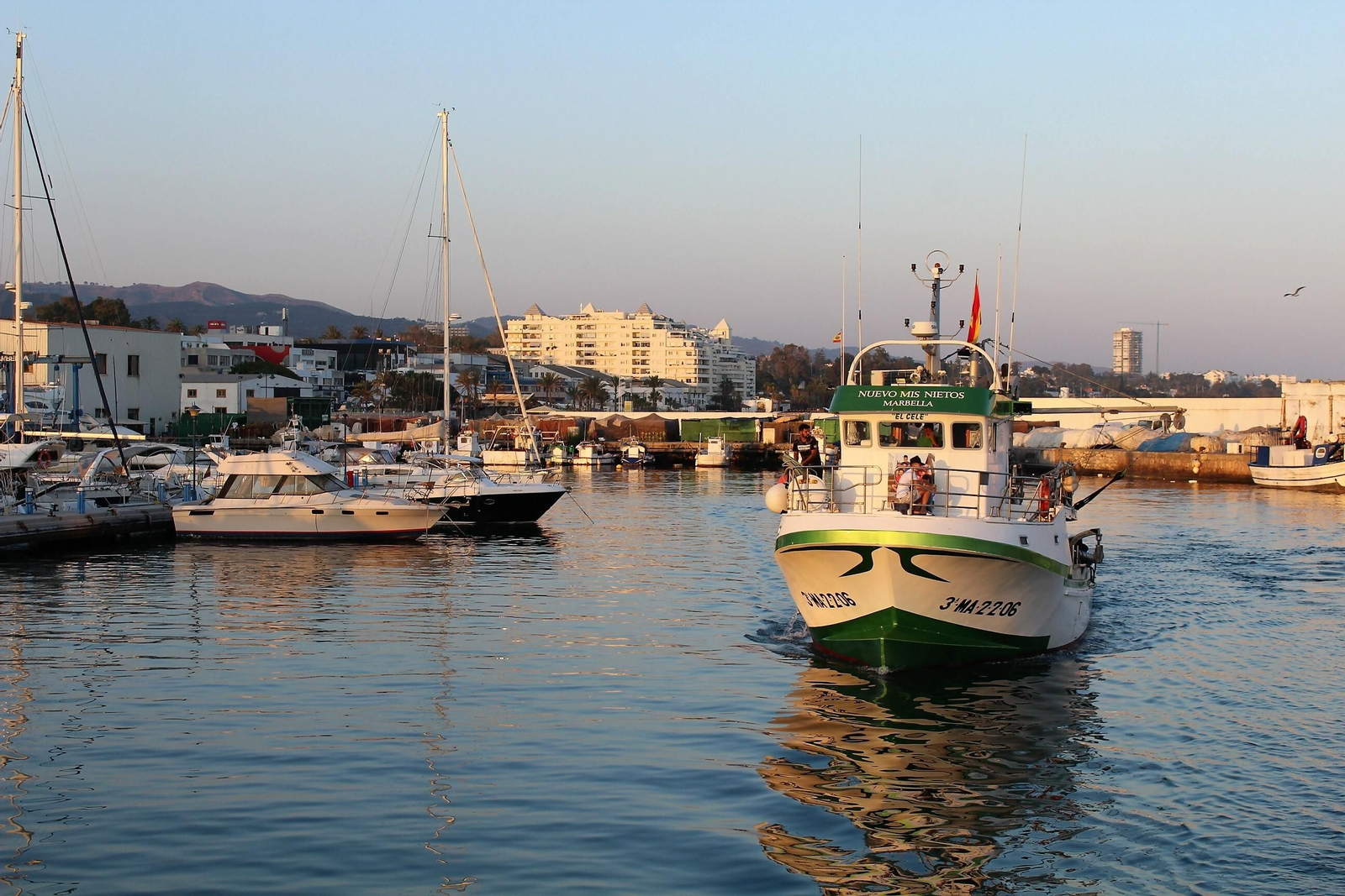 La flota de cerco hará una parada biológica este domingo.