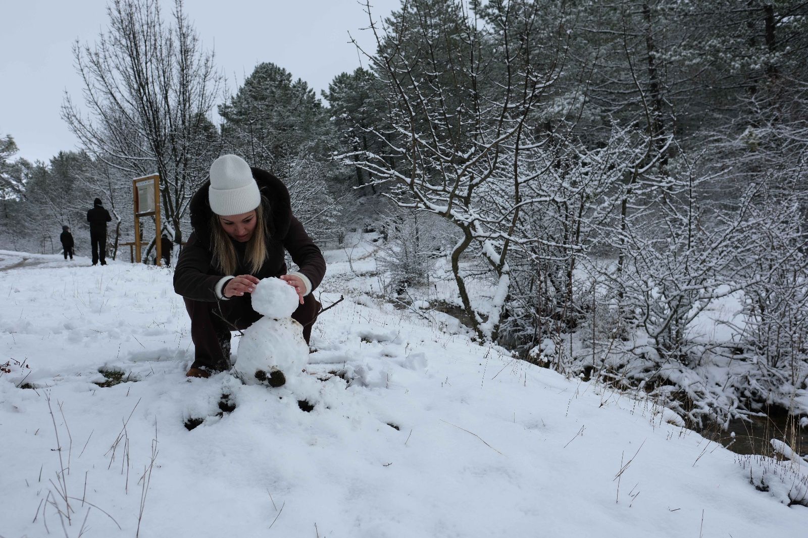La nieve tiñe de blanco la Serranía de Ronda
