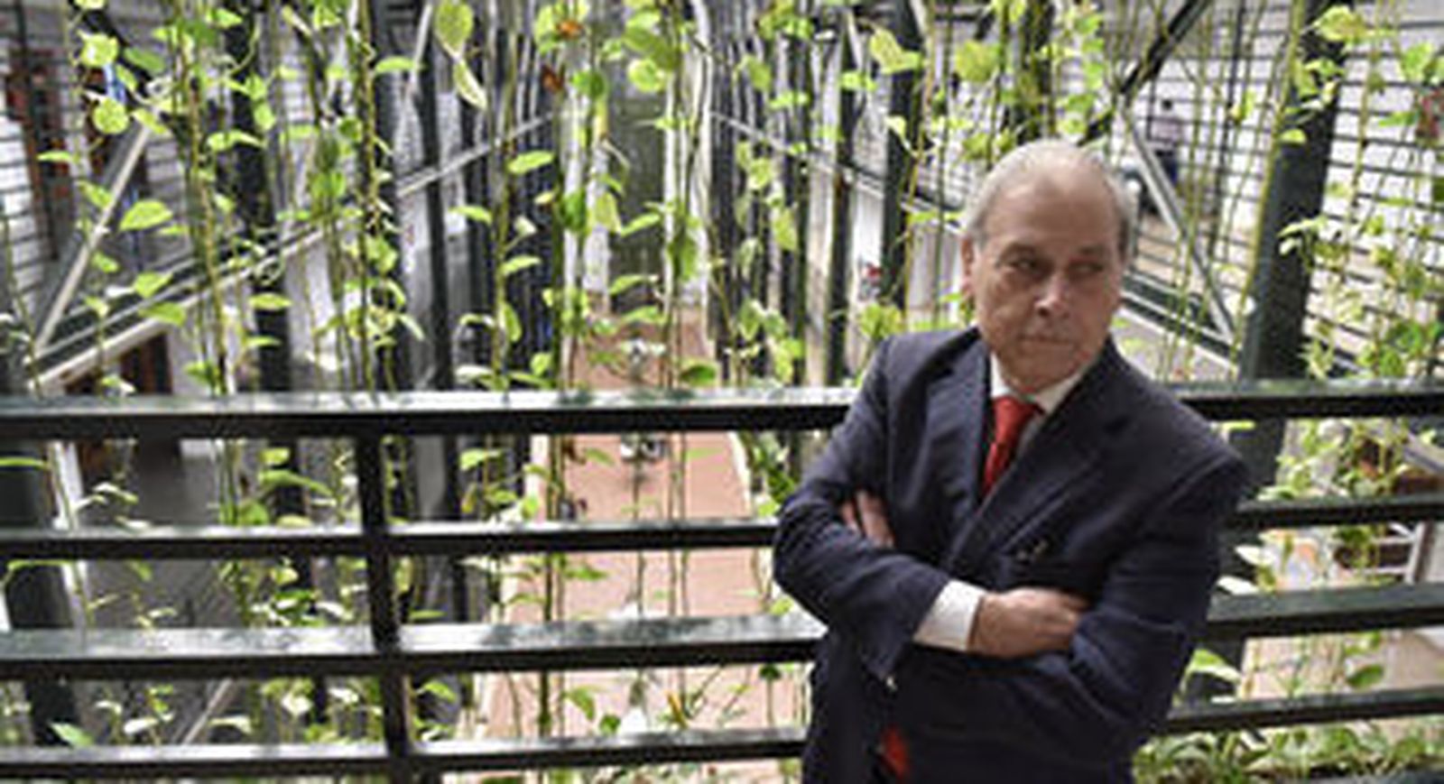 "No tengo palco de Semana Santa ni caseta de Feria"