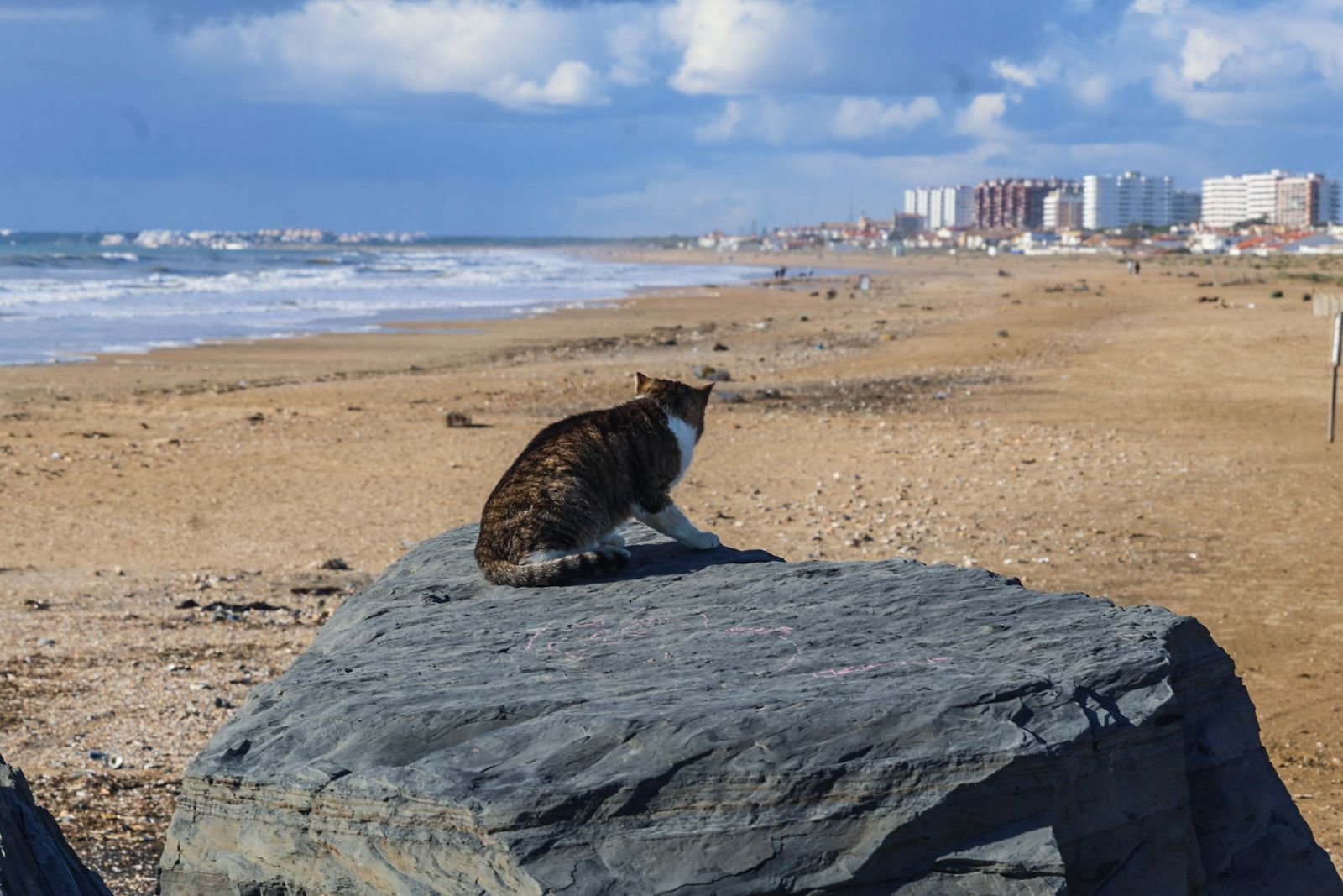 Fotos de la playa de Punta Umbría tras las últimas borrascas
