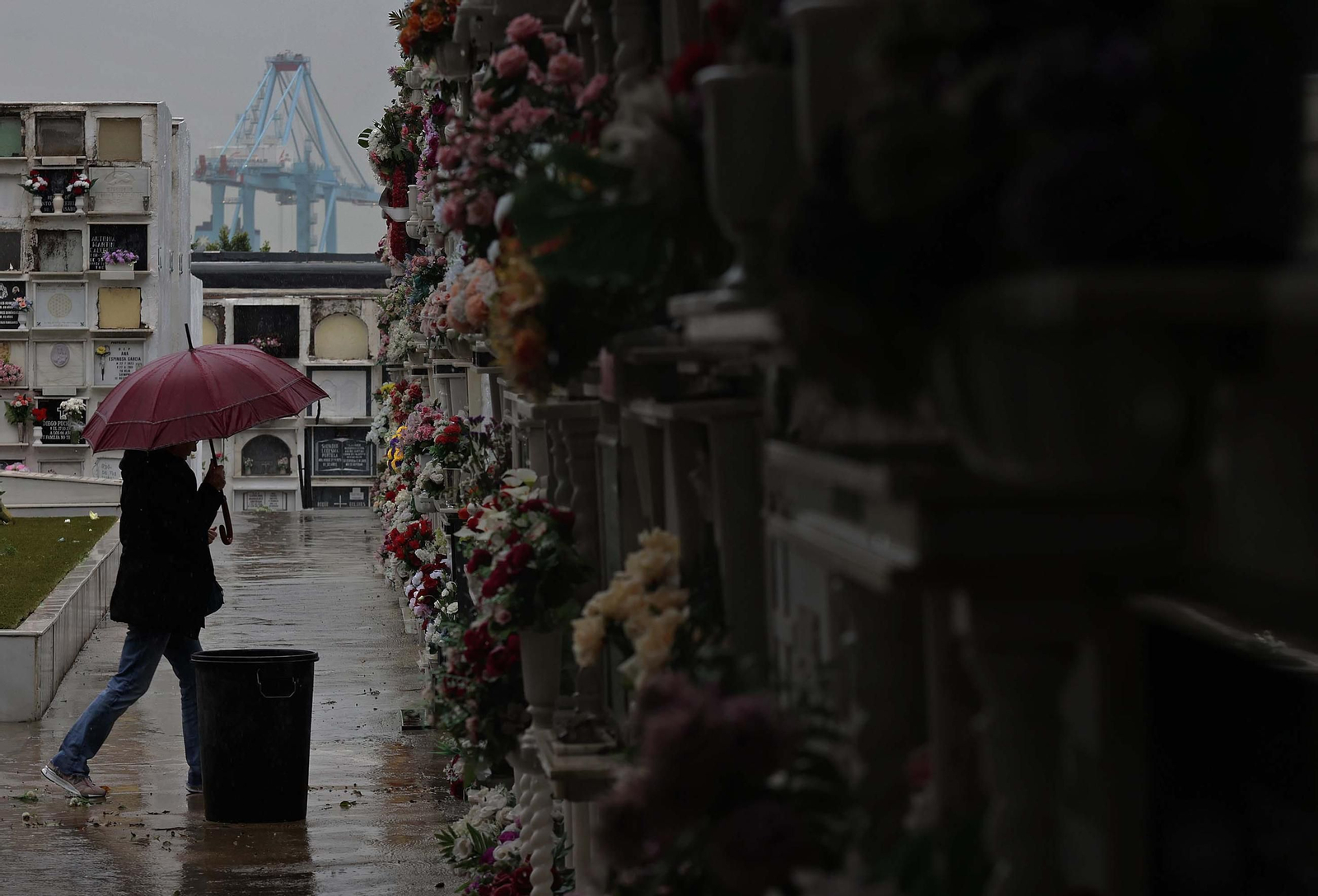 Fotos de los preparativos para Tosantos en el cementerio de Algeciras