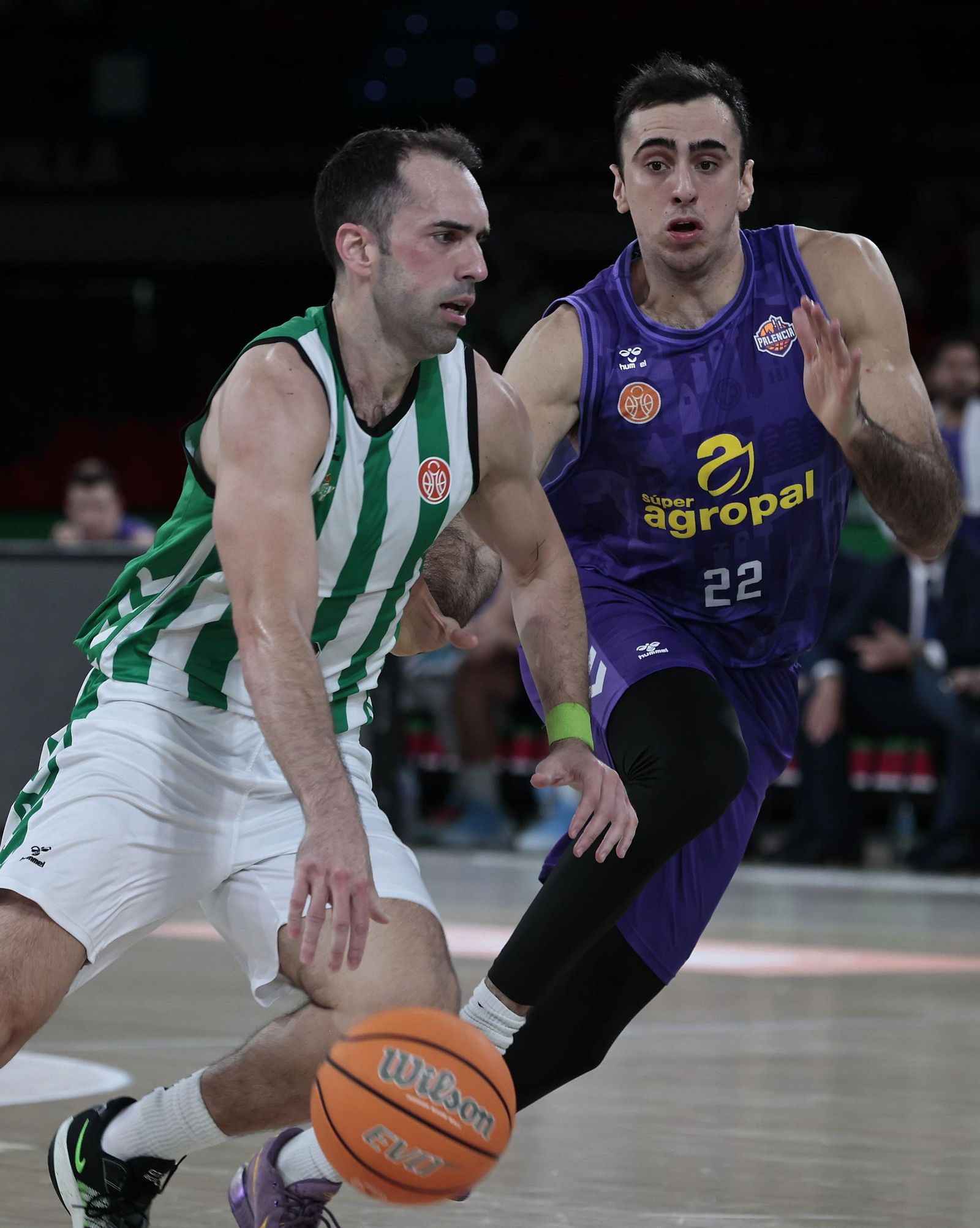 Las imágenes del Betis Baloncesto - Palencia