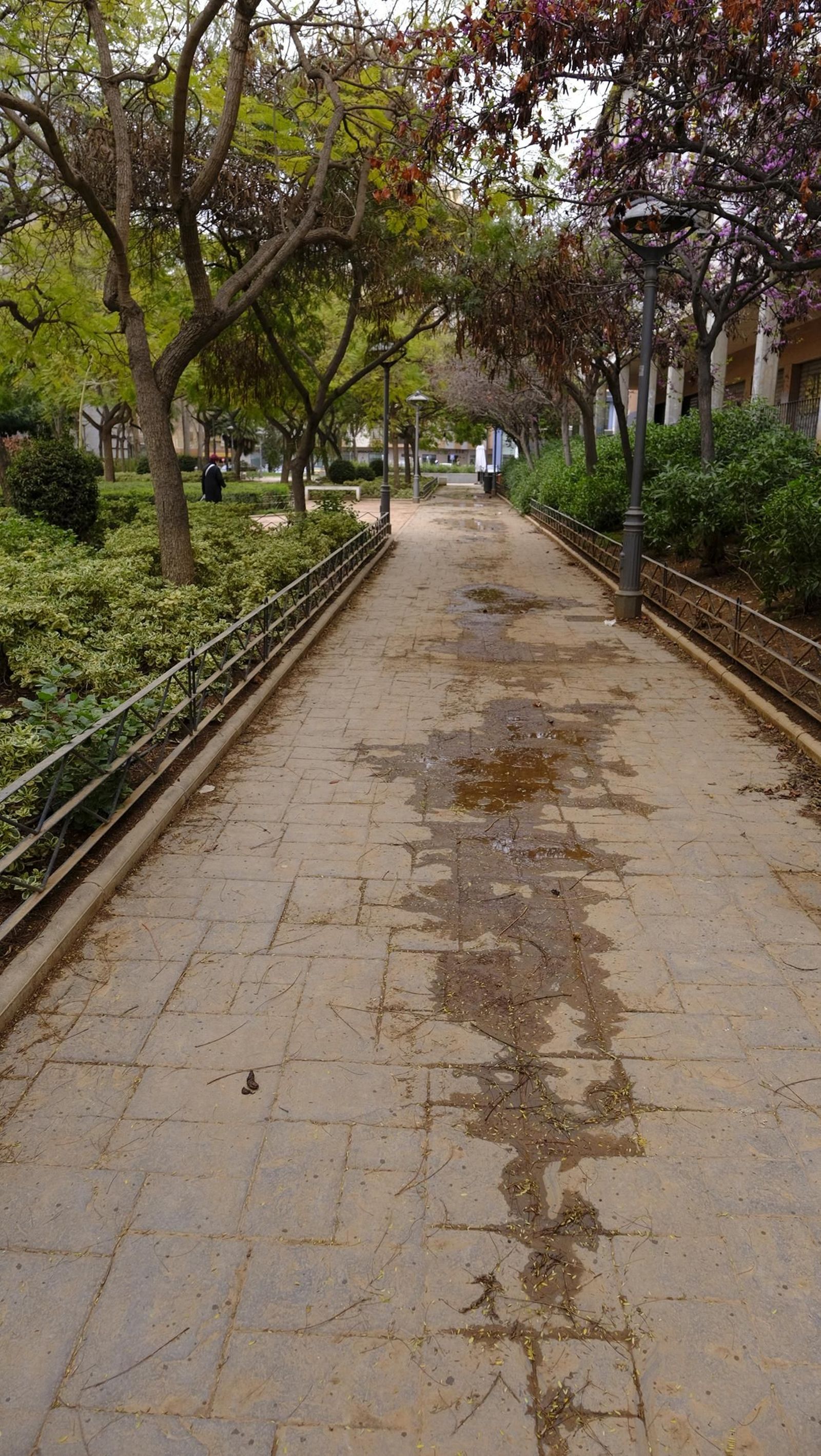 Fotogalería lluvia de barro en Almería
