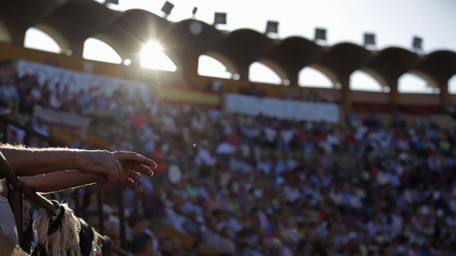 Un contraluz durante un festejo taurino de la Feria Real de Algeciras.