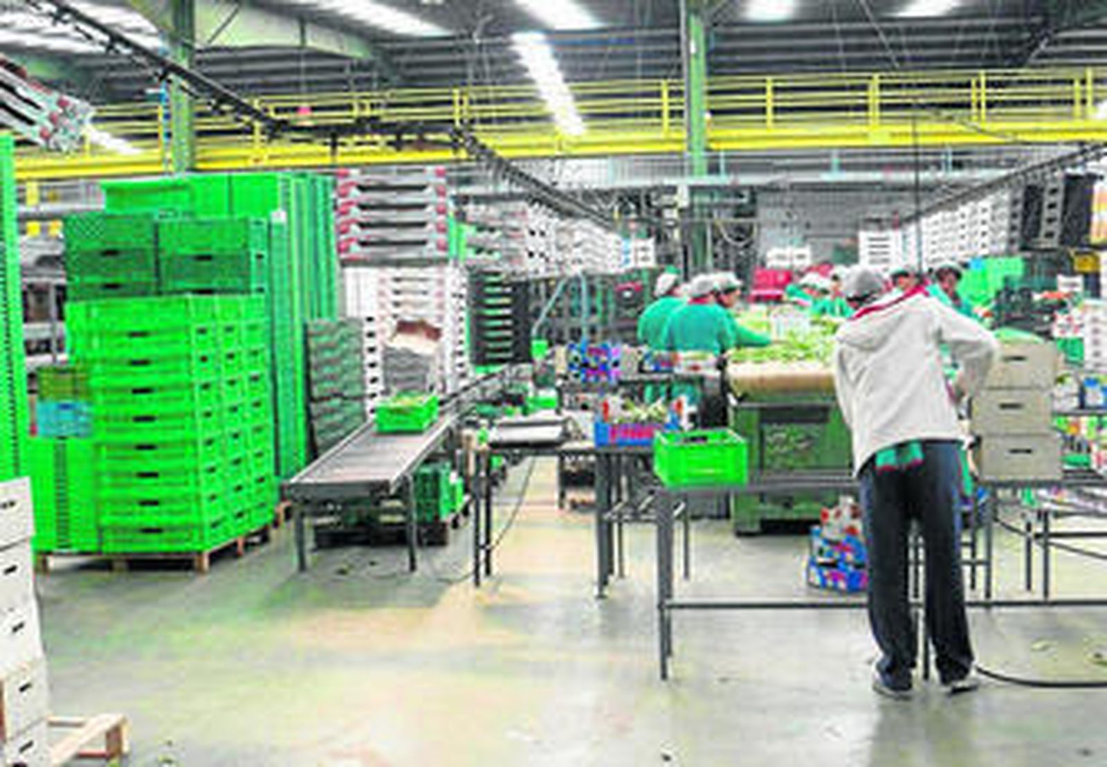 Instalaciones de Agroiris, cuya sede está en El Ejido, en la Carretera de Almerimar.