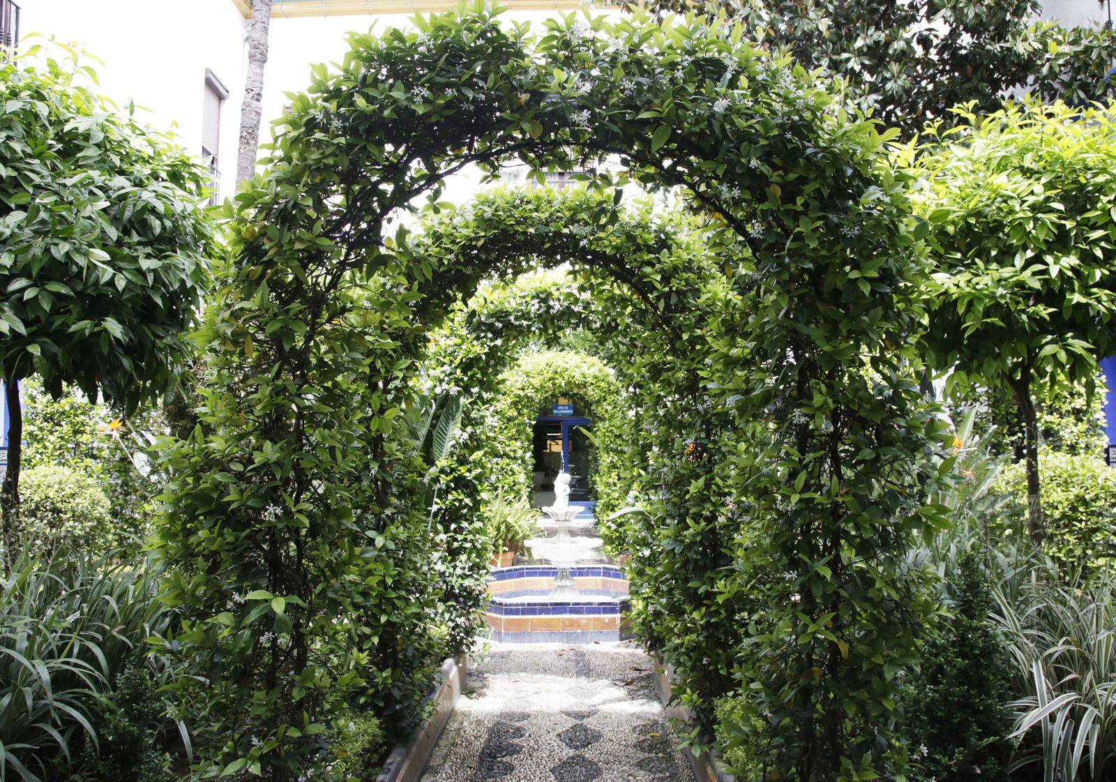 Ruta Judería-San Francisco: Plaza de Ramón y Cajal 7