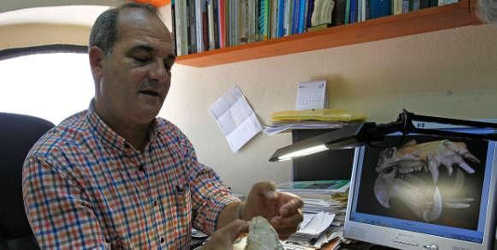 "Sevilla era una gran sabana en la que vivían hipopótamos y rinocerontes"