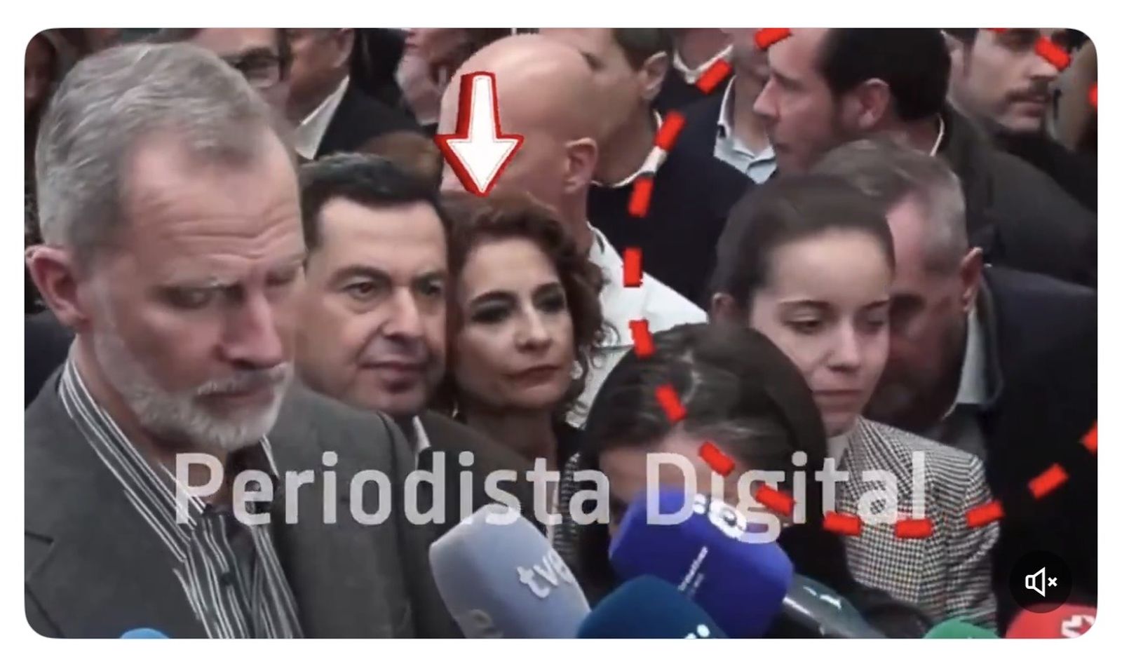 Loca por chupar cámara