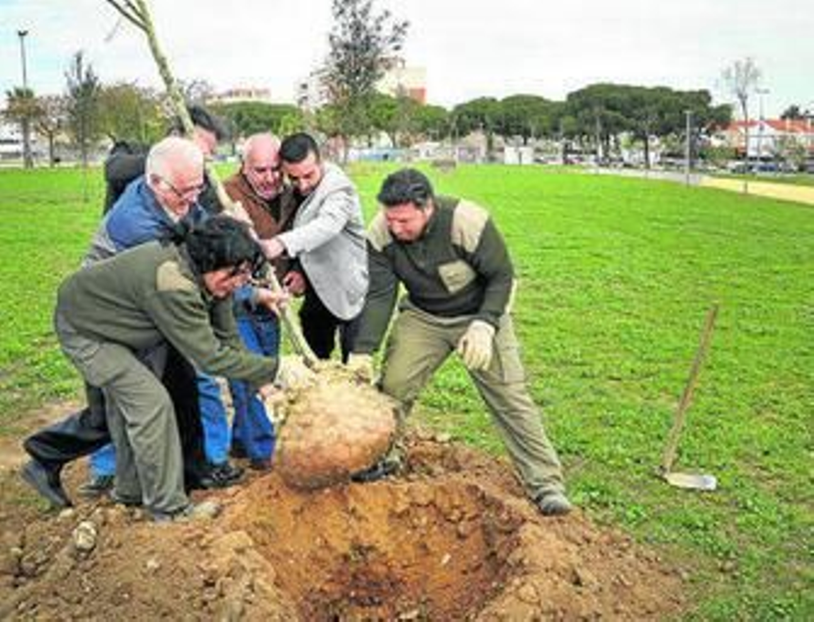 Esfuerzo colectivo para plantar un árbol en el Parque Forestal de La Marquesa. Esfuerzo colectivo para plantar un árbol en el Parque Forestal de La Marquesa.