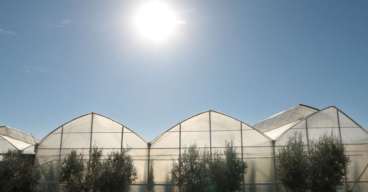 www-diariodealmeria-es.translate.goog