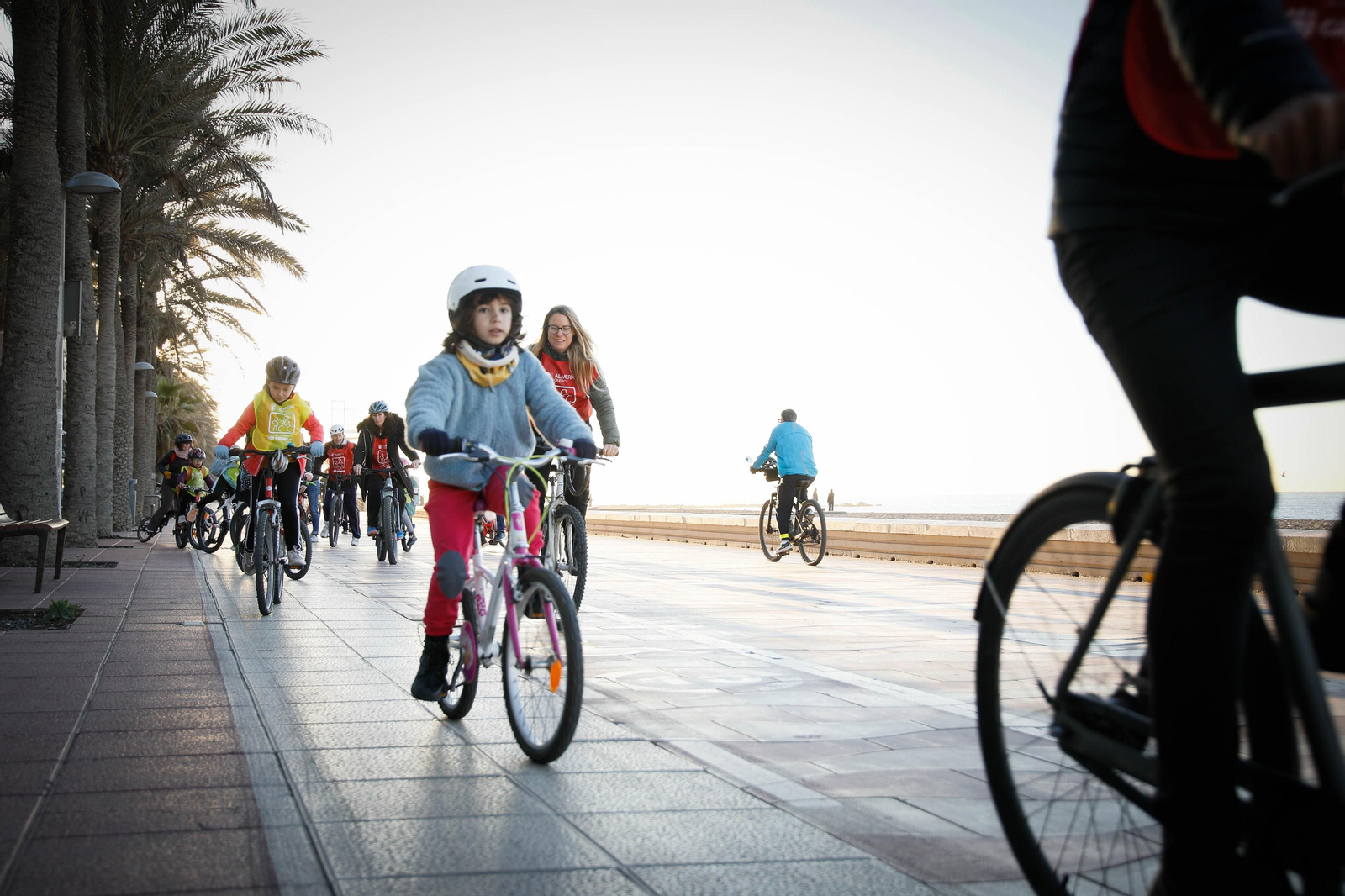 Te contamos en imágenes como ha sido la jornada del proyecto "En bici y caminando al cole"