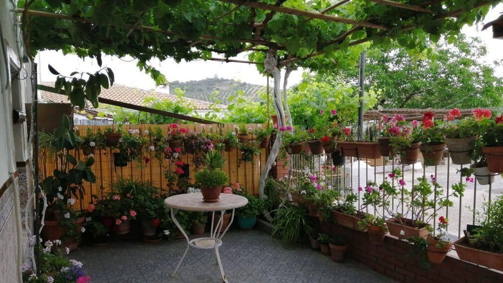 Una de las casas que ha participado en el concurso de patios de Iznájar.