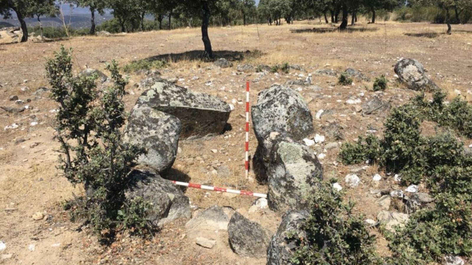 Dolmen del Rongil. Dolmen del Rongil.
