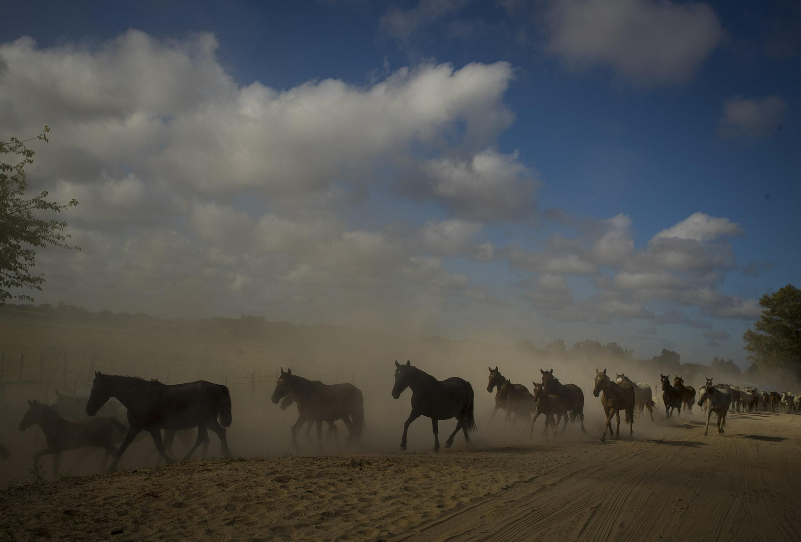 La Saca de las Yeguas, en imágenes
