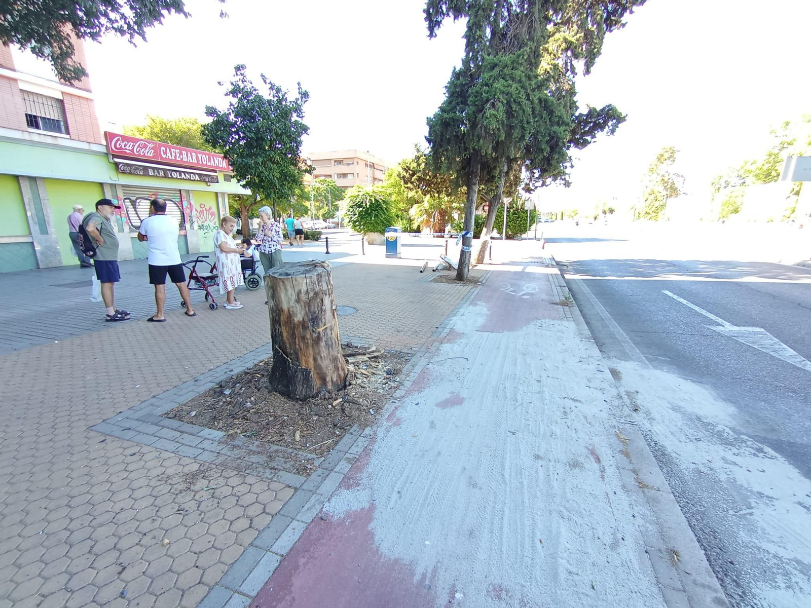Árbol contra el que se estampó el vehículo.