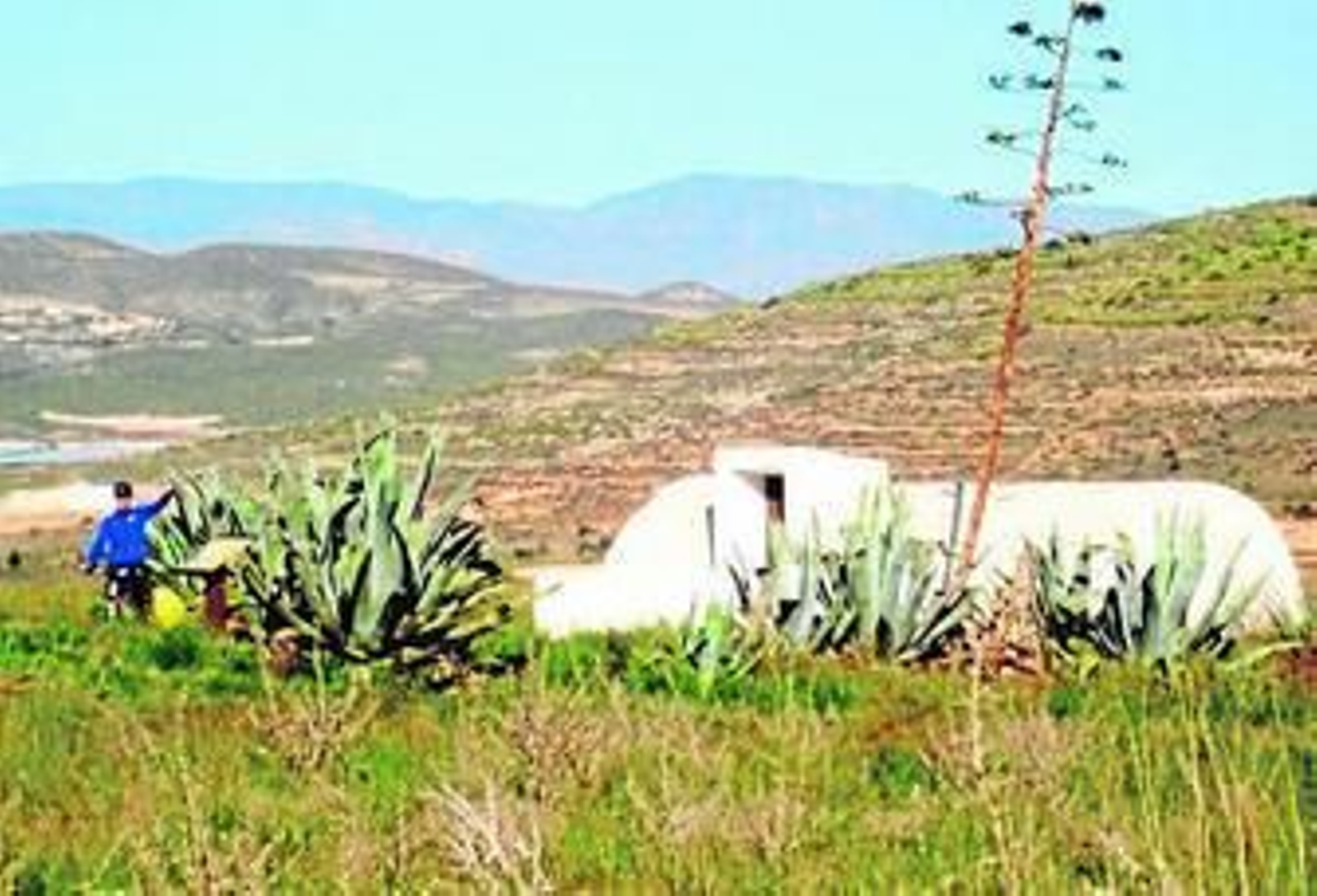 Testimonios de una tierra árida Aljibes