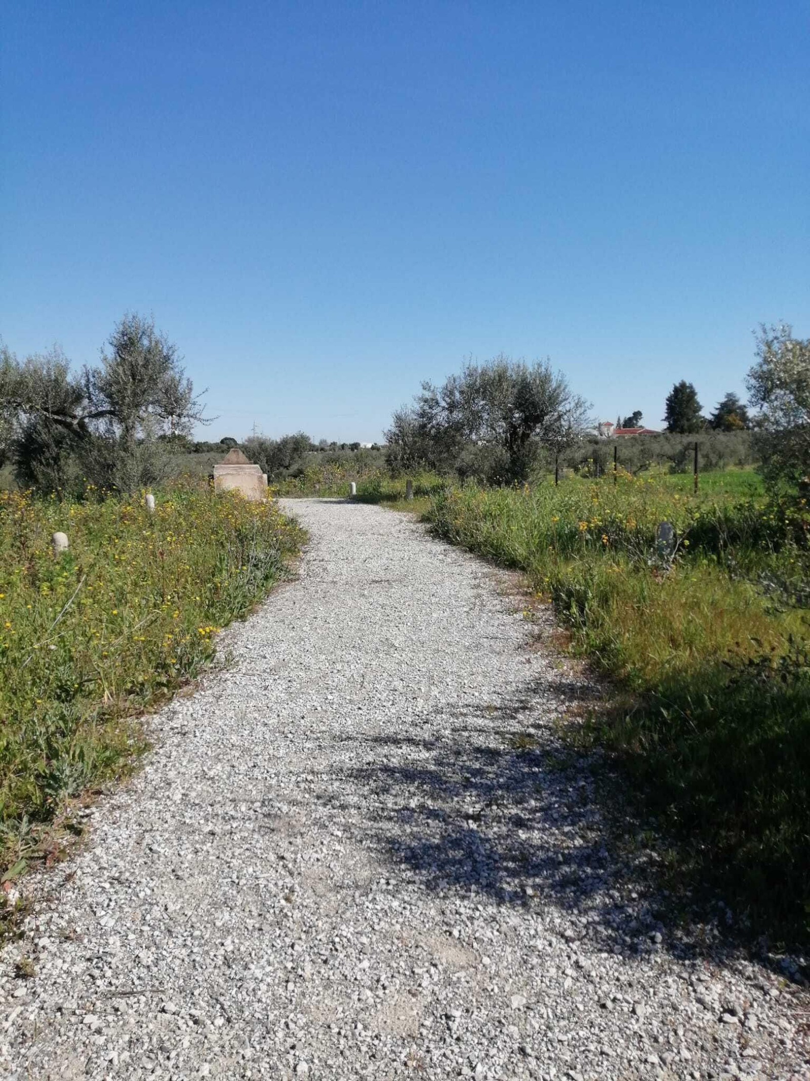 Las imágenes de la ruta Valencina-Dolmend e Matarrubilla