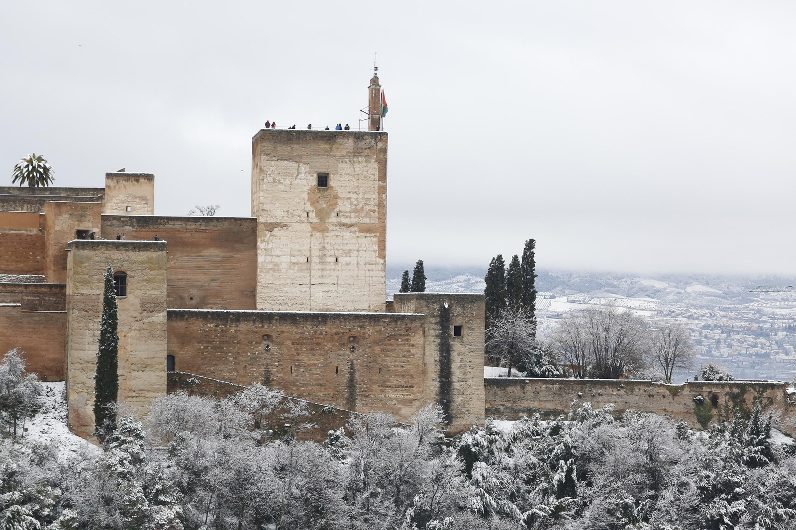 La nevada de Granada, en imágenes