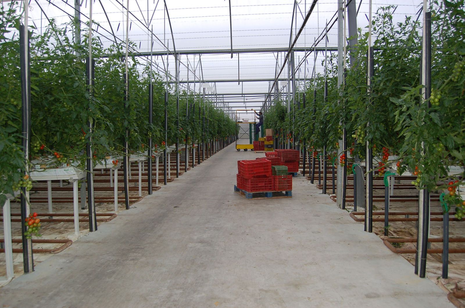 Invernadero solar, calidad certificada