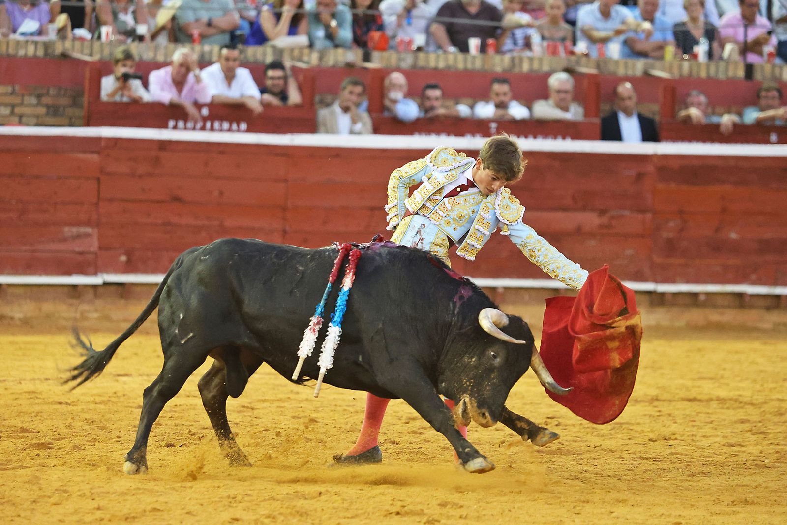 Toros La Merced 2024 Novillada con picadores(