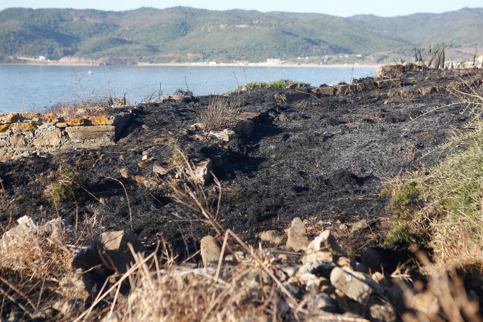 Daños en el Parque Centenario de Algeciras tras el incendio nocturno, en imágenes