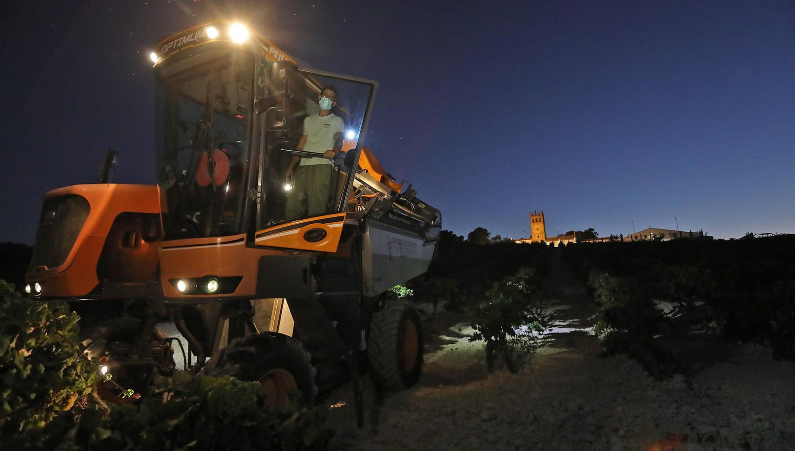 Un operario de una cosechadora para la vendimia mecanizada del Marco con la mascarilla de protección.