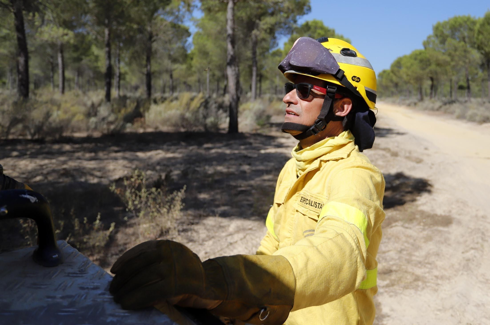 Imágenes de las zonas afectadas por los incendios de Almonte y Bonares