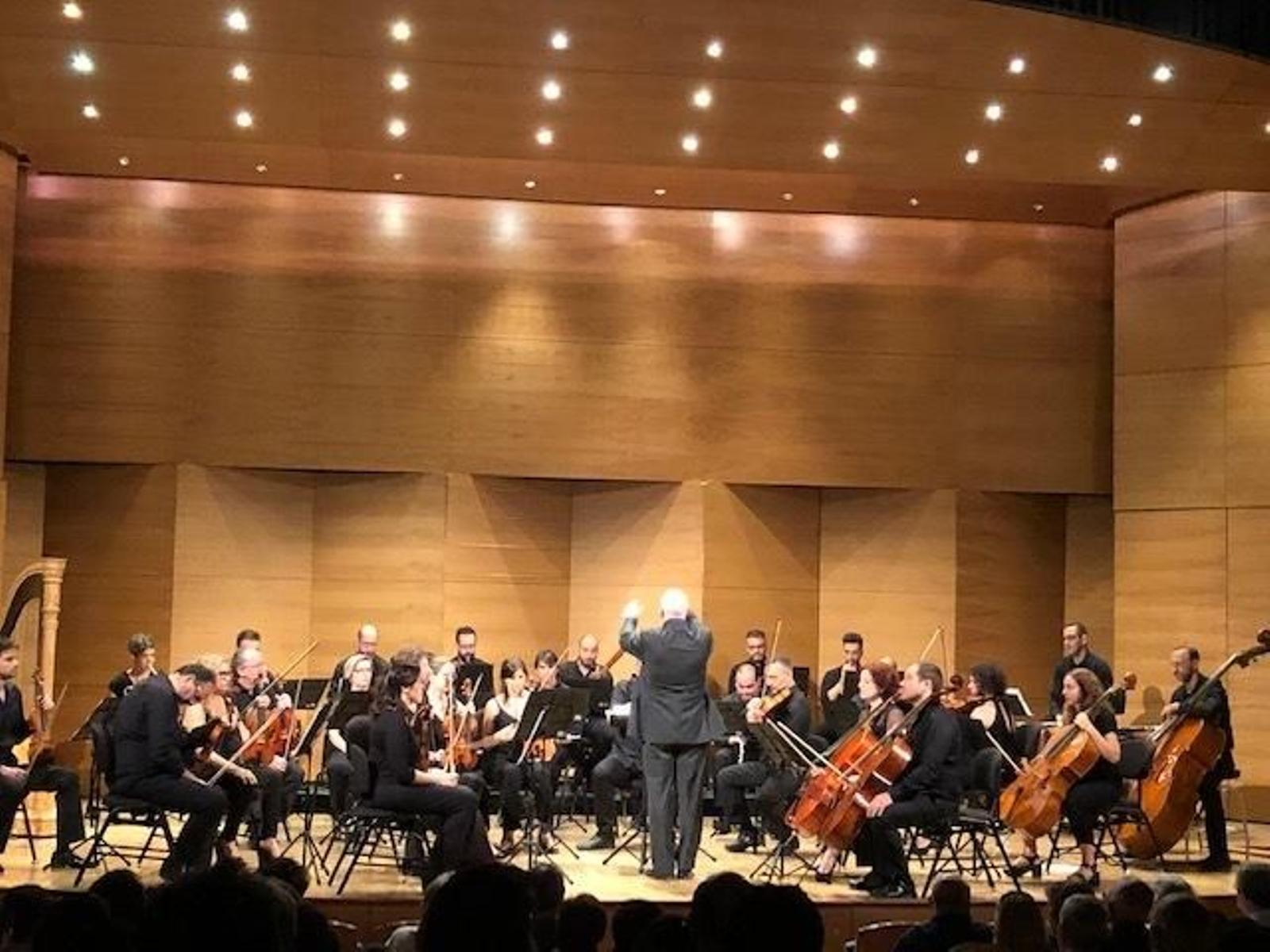 La Orquesta Bética de Cámara en el Espacio Turina