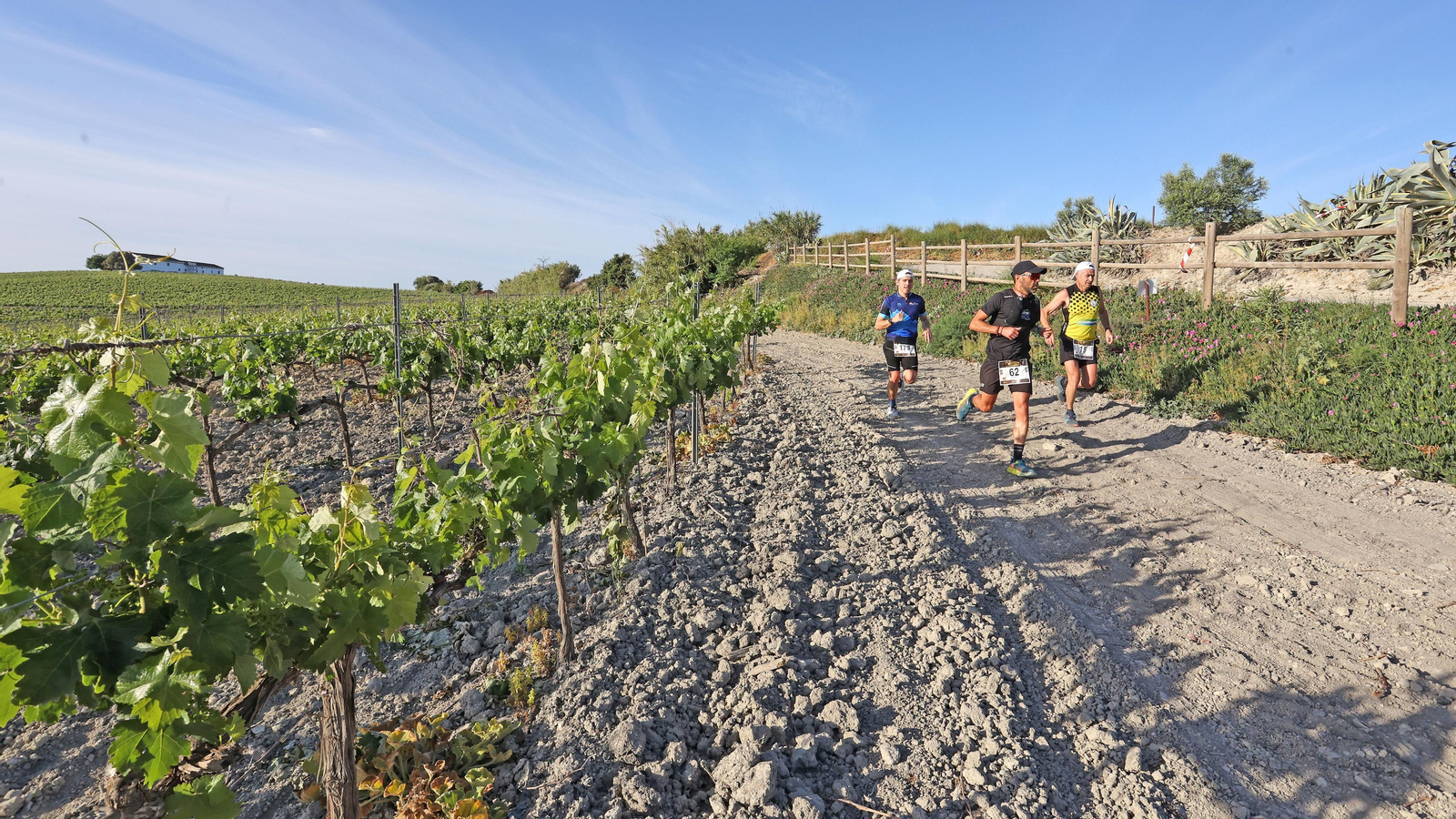 VI Sherry Maratón Jerez