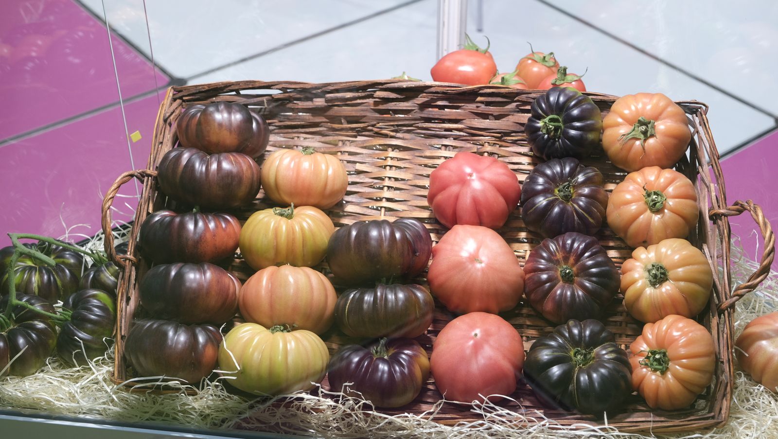 Imágenes del primer día de Expolevante Níjar.