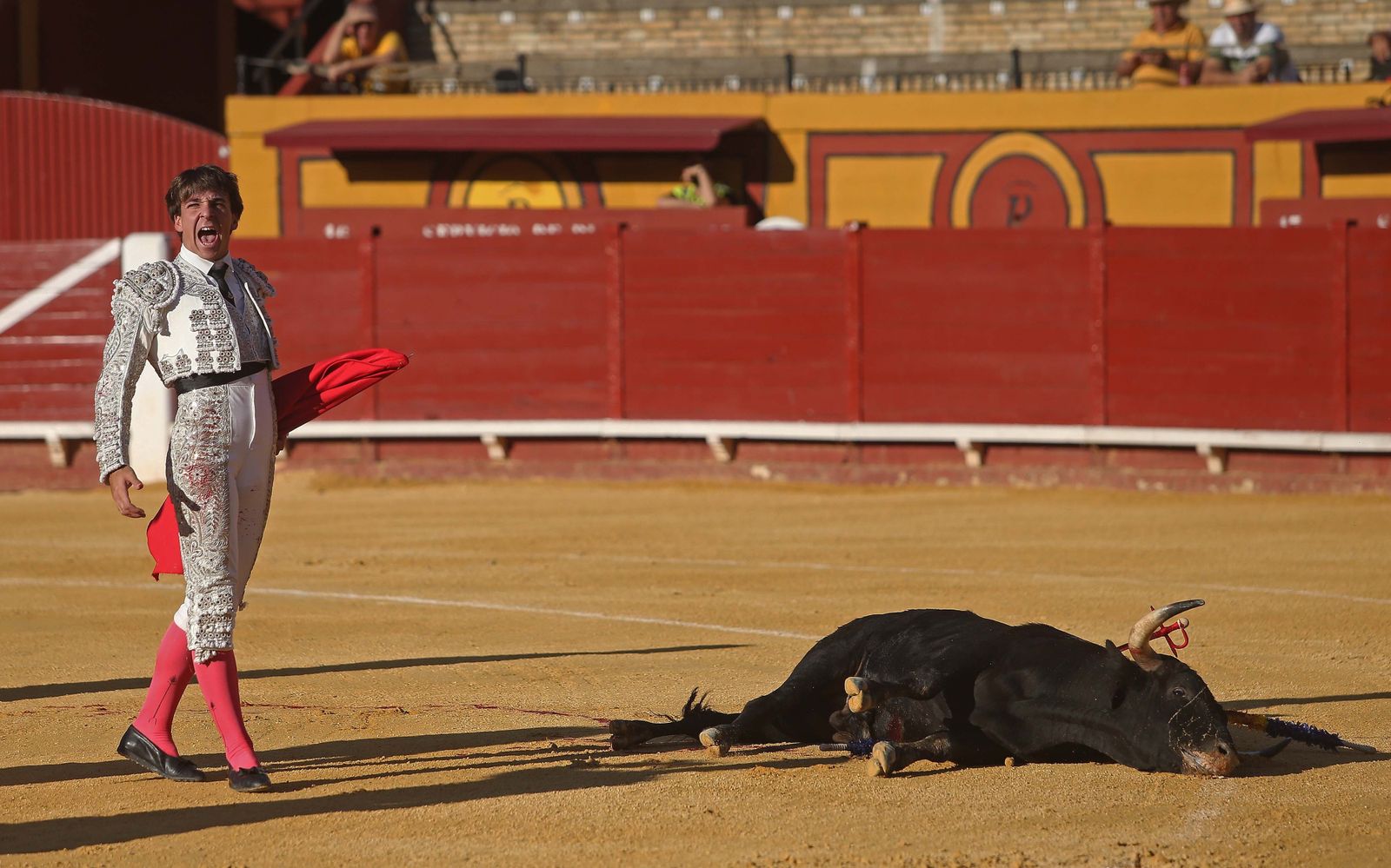 La novillada de Miguelín que abre la feria de Algeciras, en imágenes