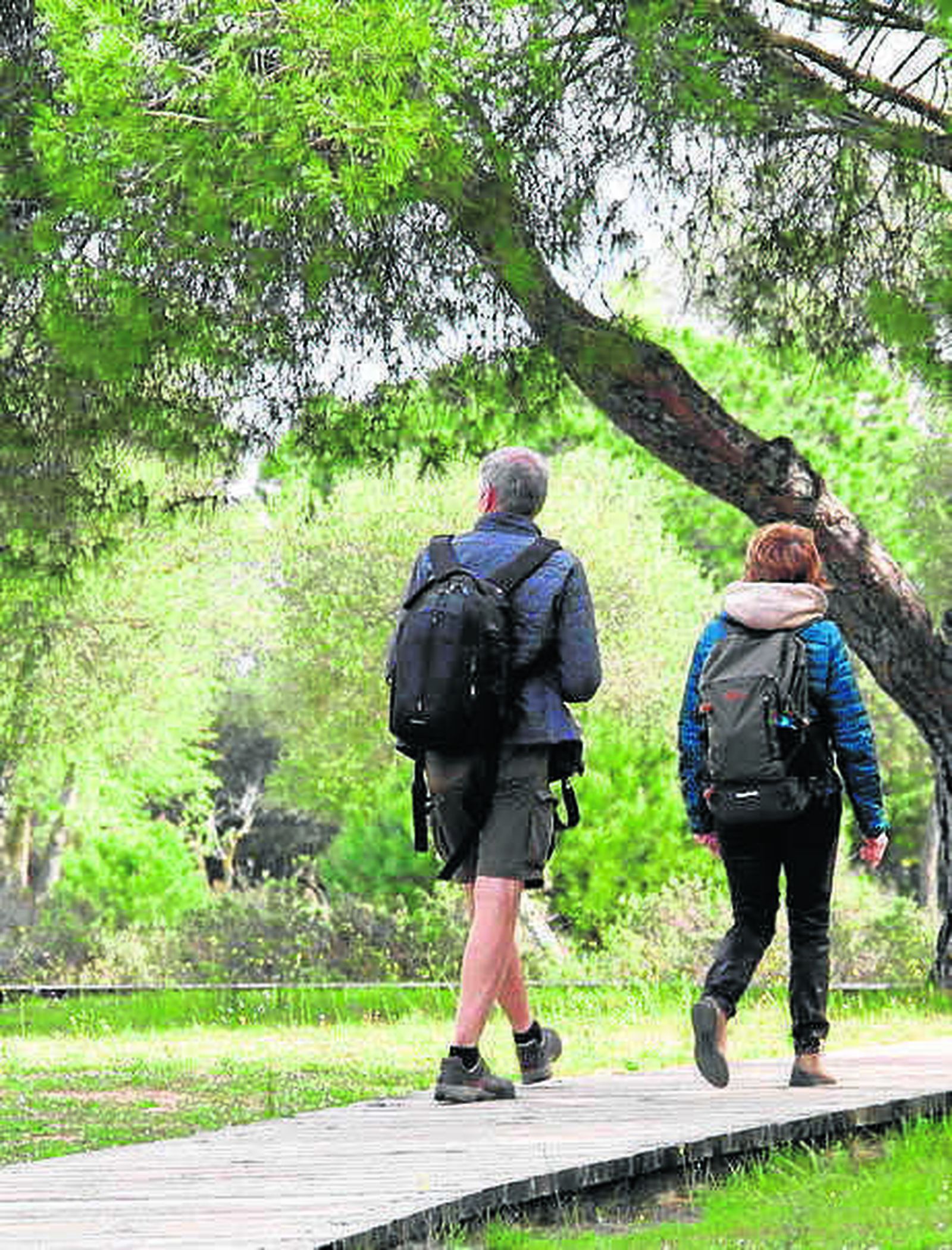 Senderismo por Doñana.